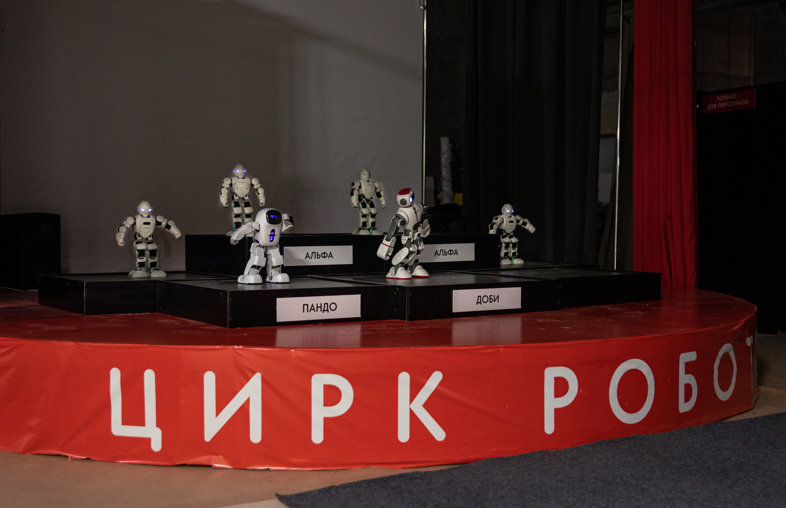 Фестиваль роботов. Семейный и частный фотограф во Владивостоке