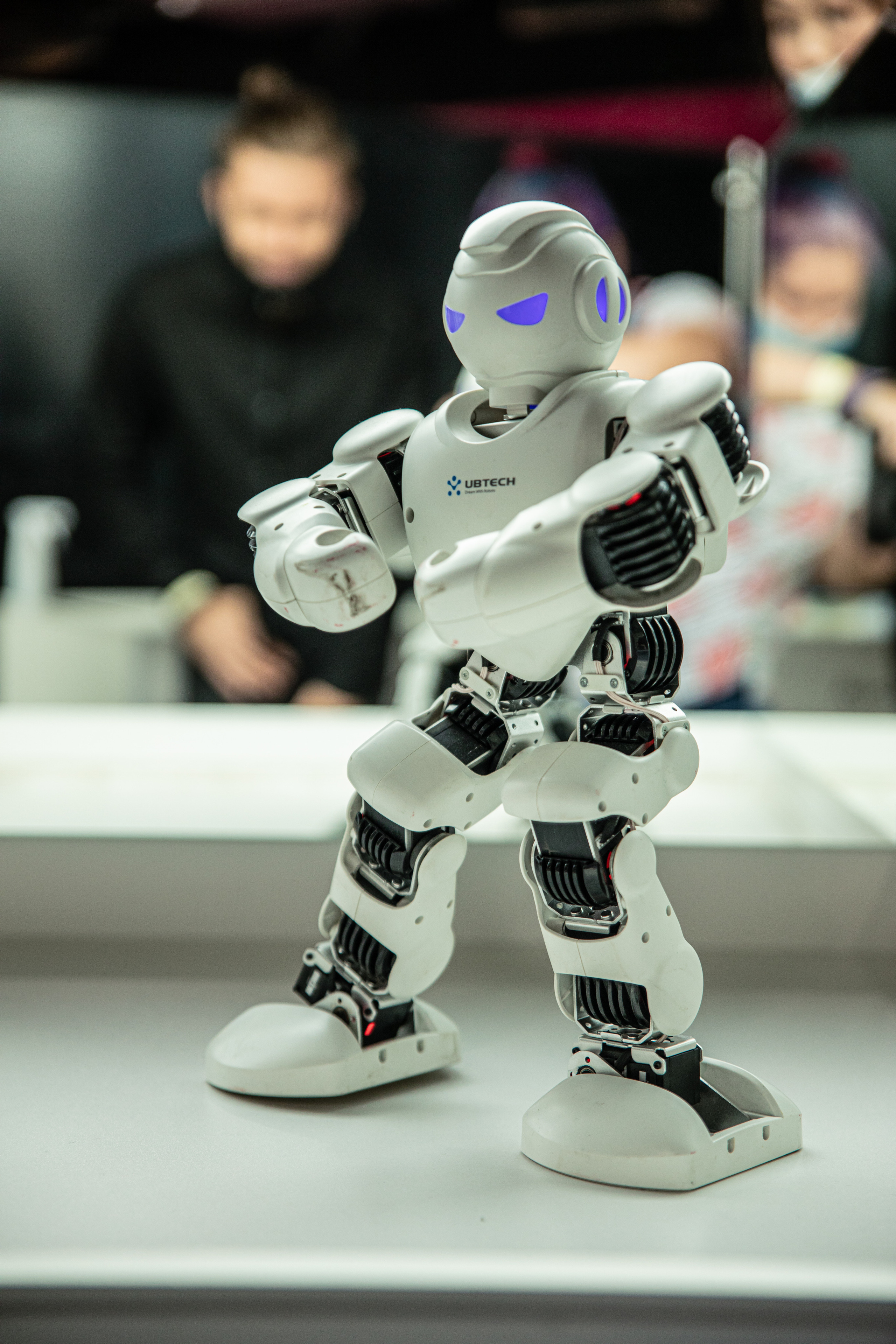 Фестиваль роботов. Семейный и частный фотограф во Владивостоке