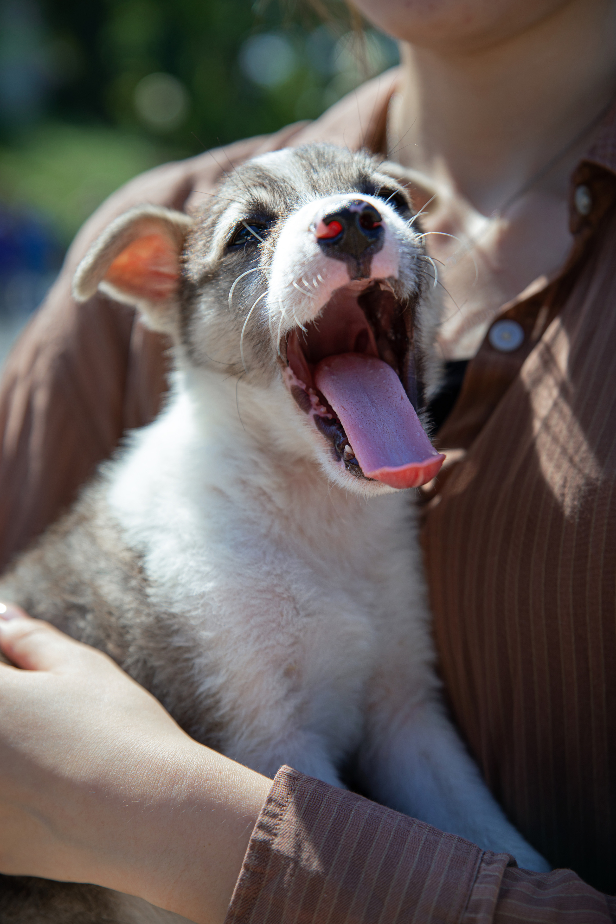 Фестиваль «Дорога домой». Семейный и частный фотограф во Владивостоке