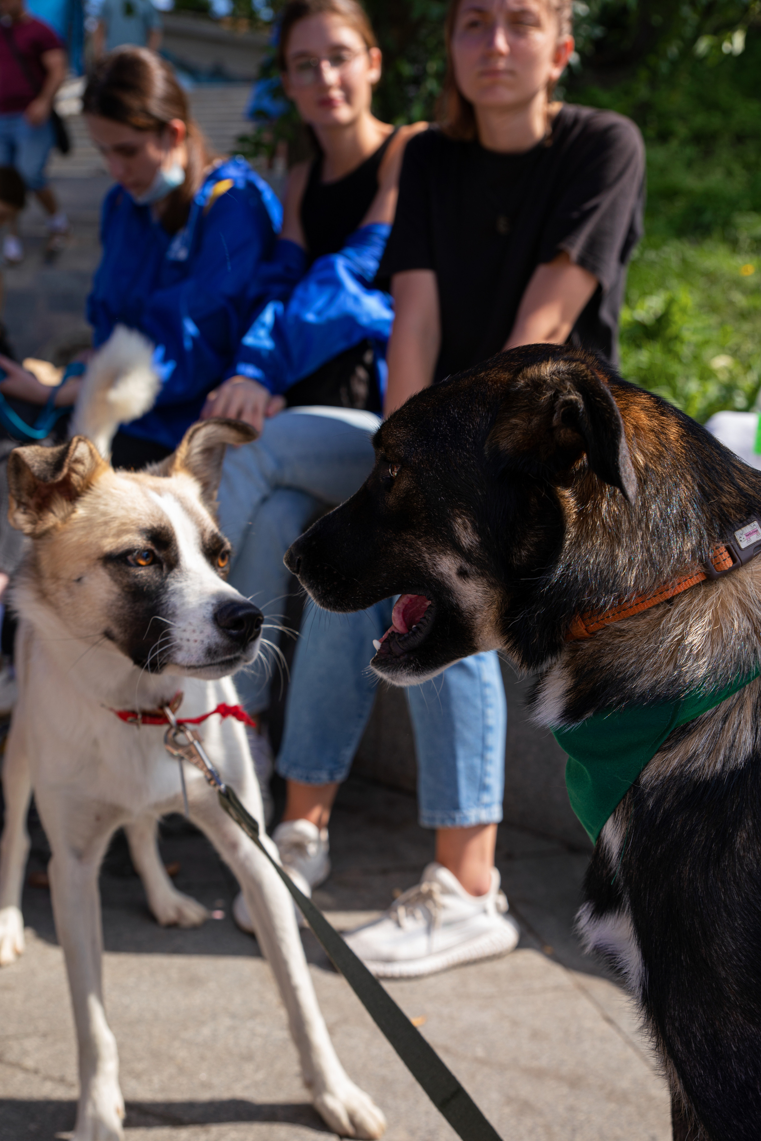 Фестиваль «Дорога домой». Семейный и частный фотограф во Владивостоке