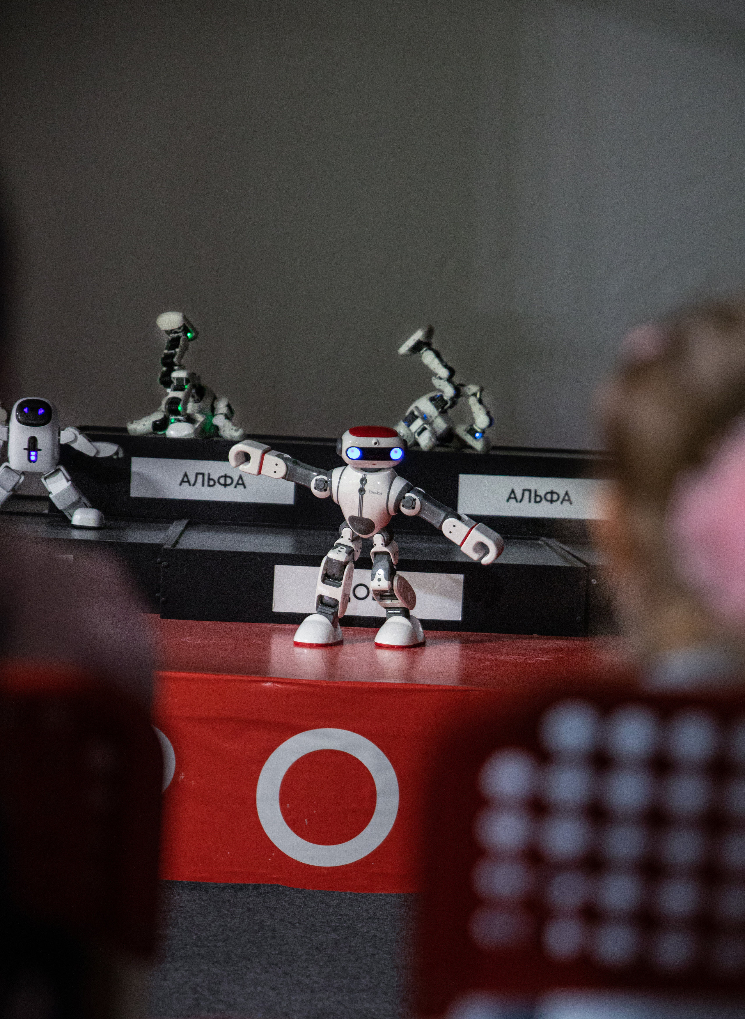 Фестиваль роботов. Семейный и частный фотограф во Владивостоке