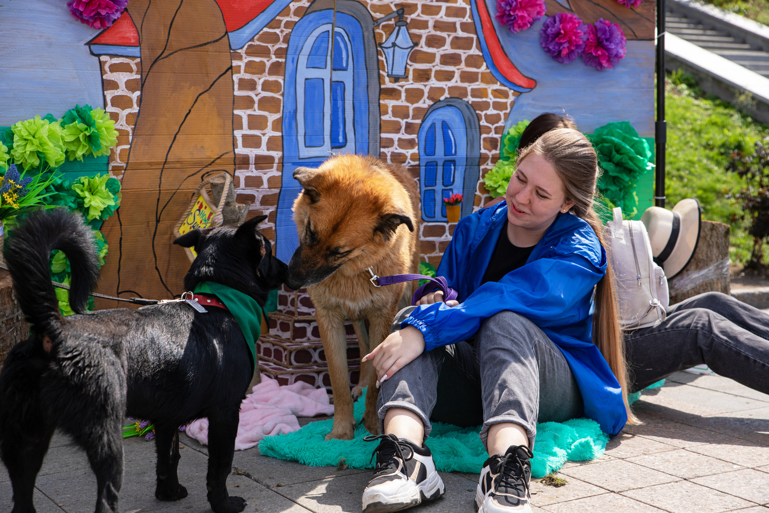 Фестиваль «Дорога домой». Семейный и частный фотограф во Владивостоке