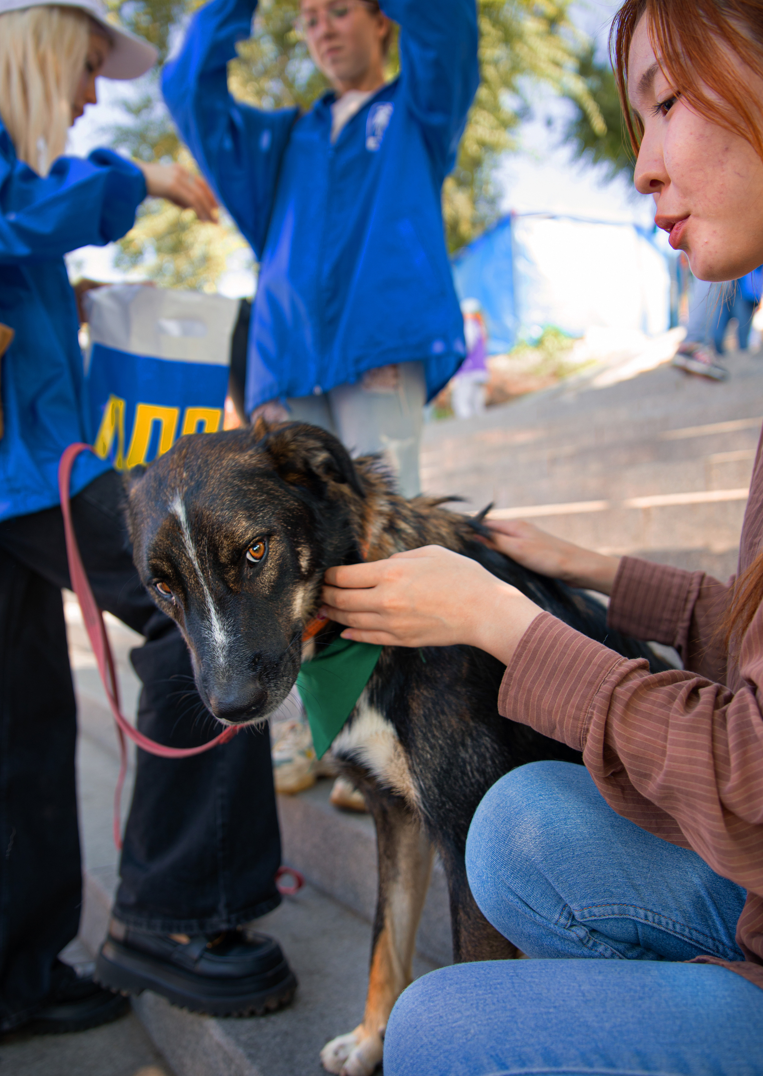 Фестиваль «Дорога домой». Семейный и частный фотограф во Владивостоке