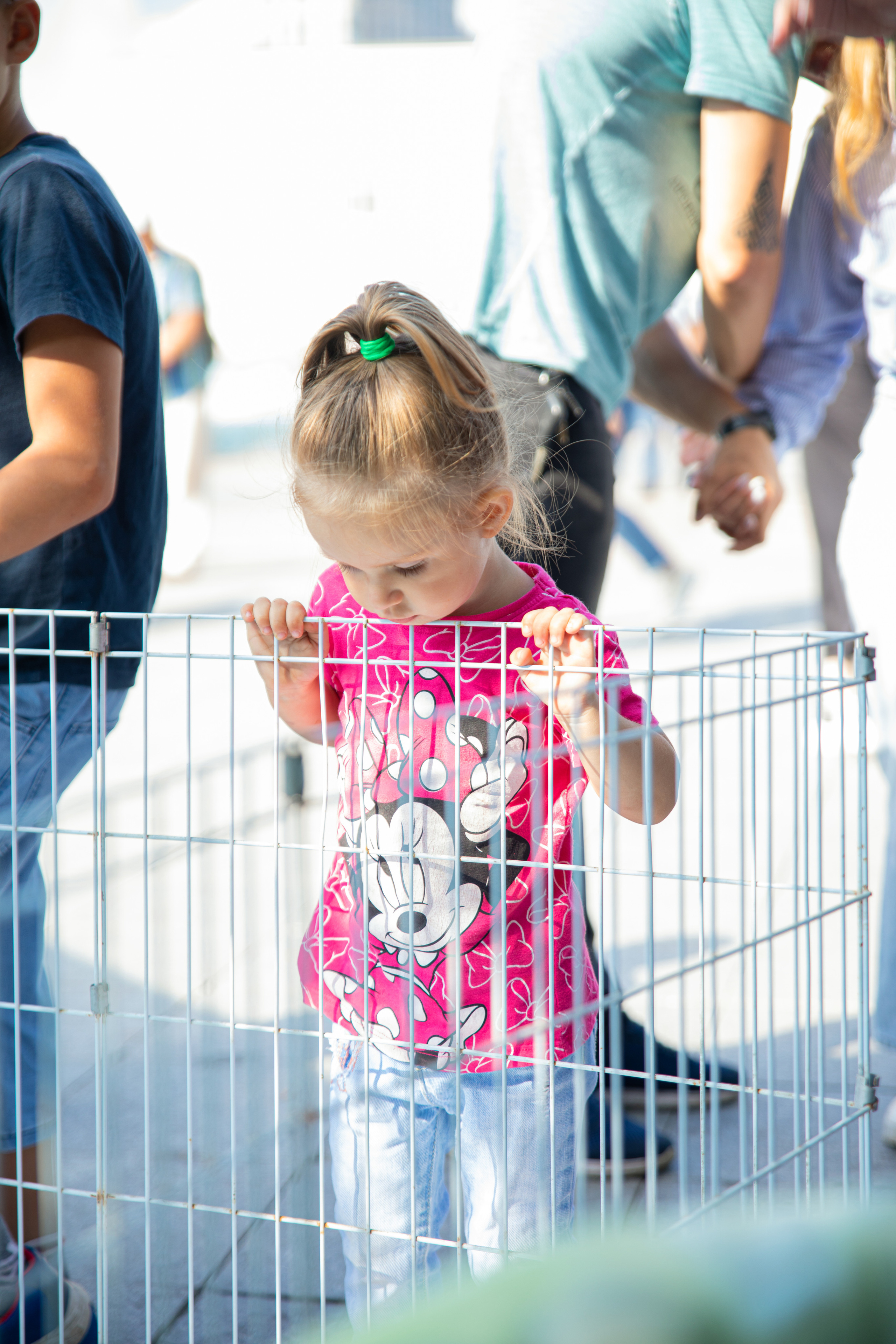 Фестиваль «Дорога домой». Семейный и частный фотограф во Владивостоке