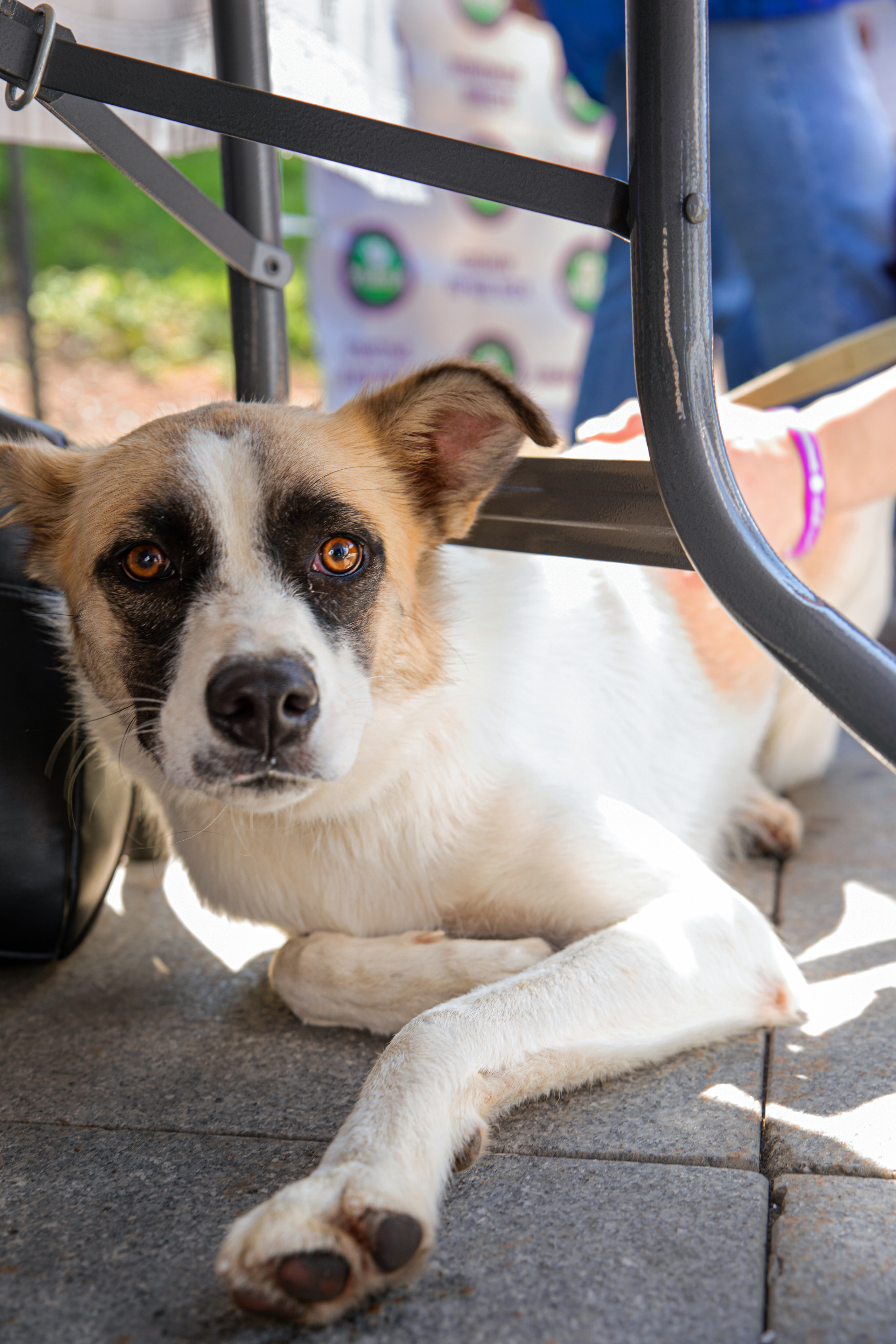 Фестиваль «Дорога домой». Семейный и частный фотограф во Владивостоке