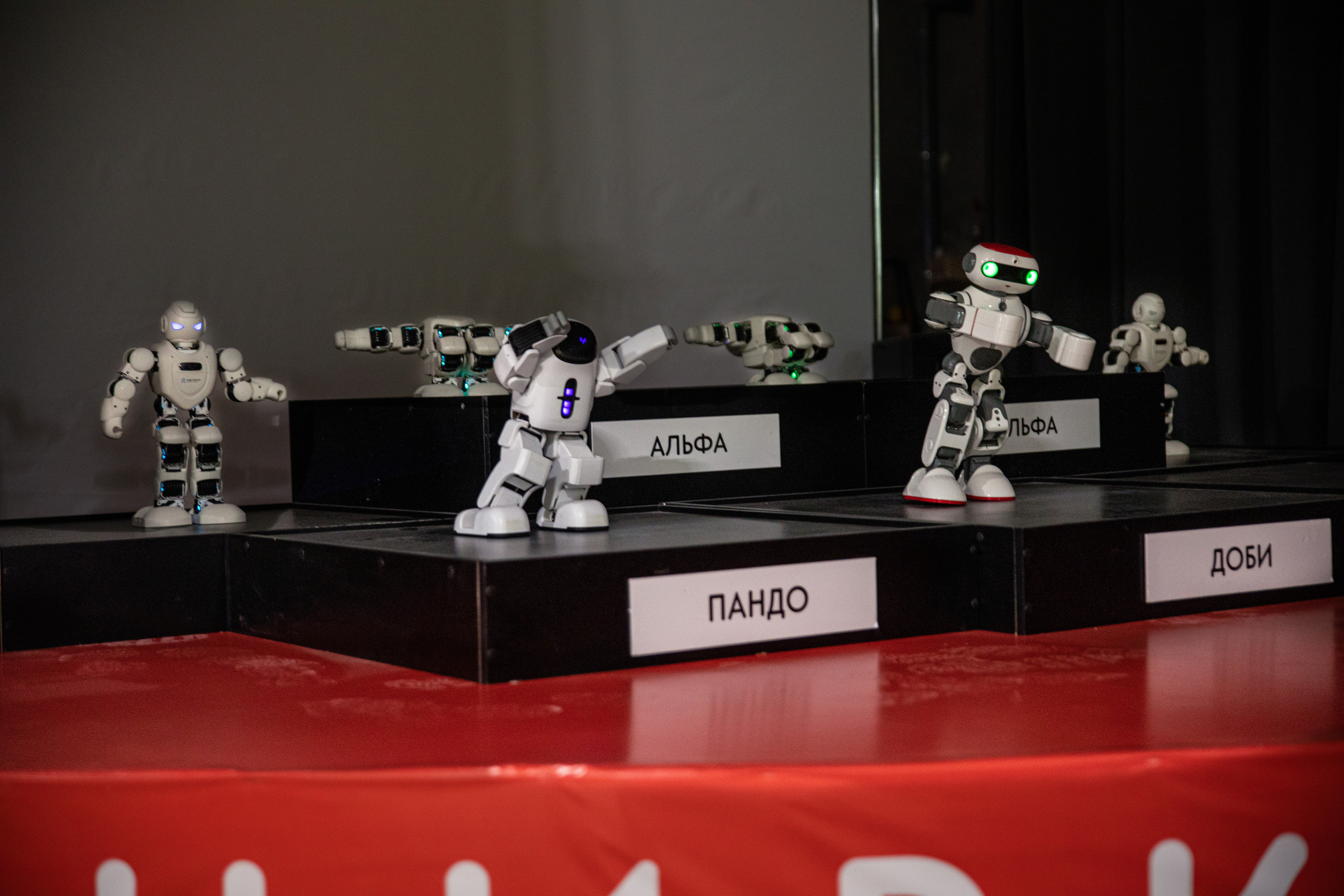 Фестиваль роботов. Семейный и частный фотограф во Владивостоке