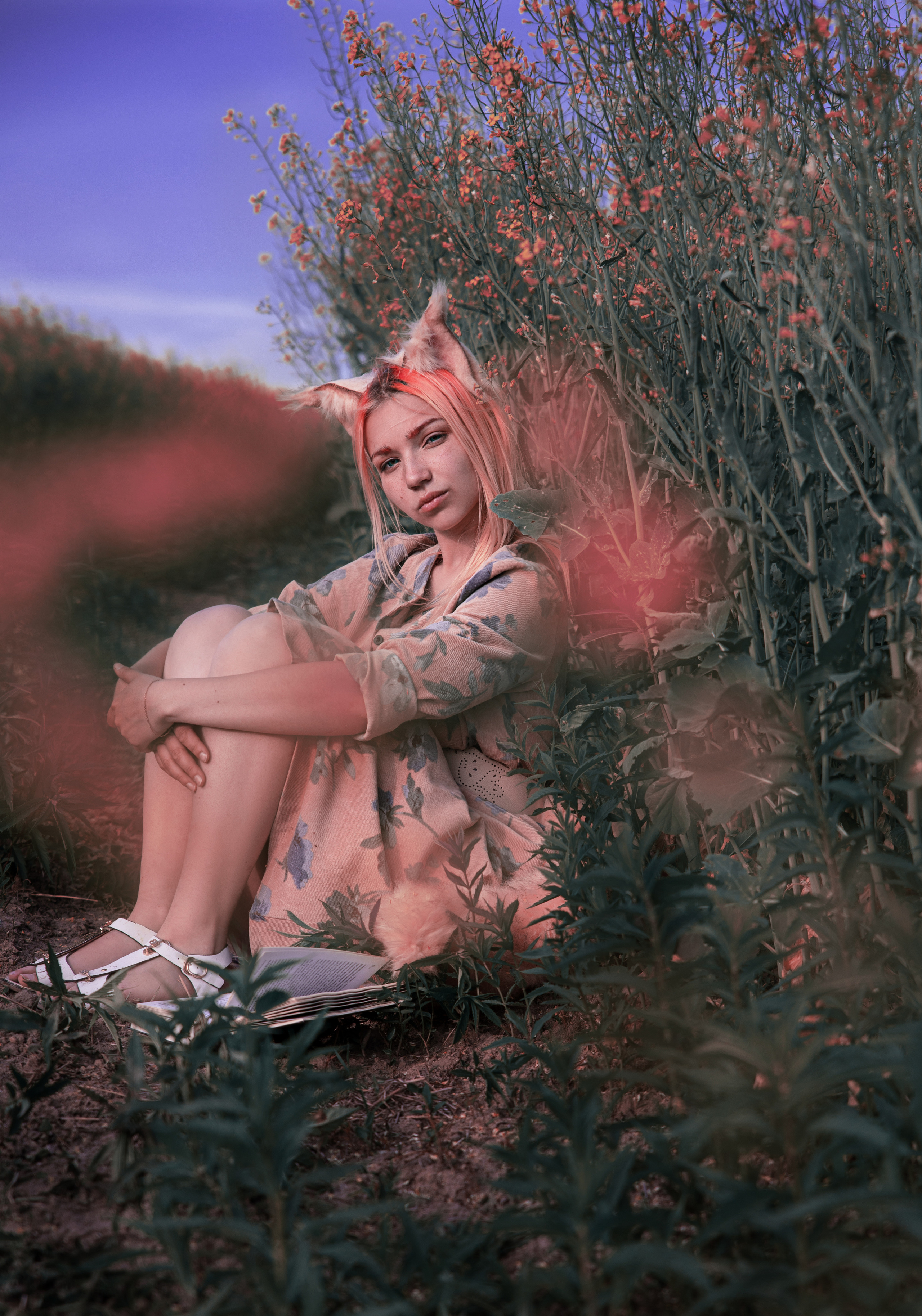 Лисица. Семейный и частный фотограф во Владивостоке