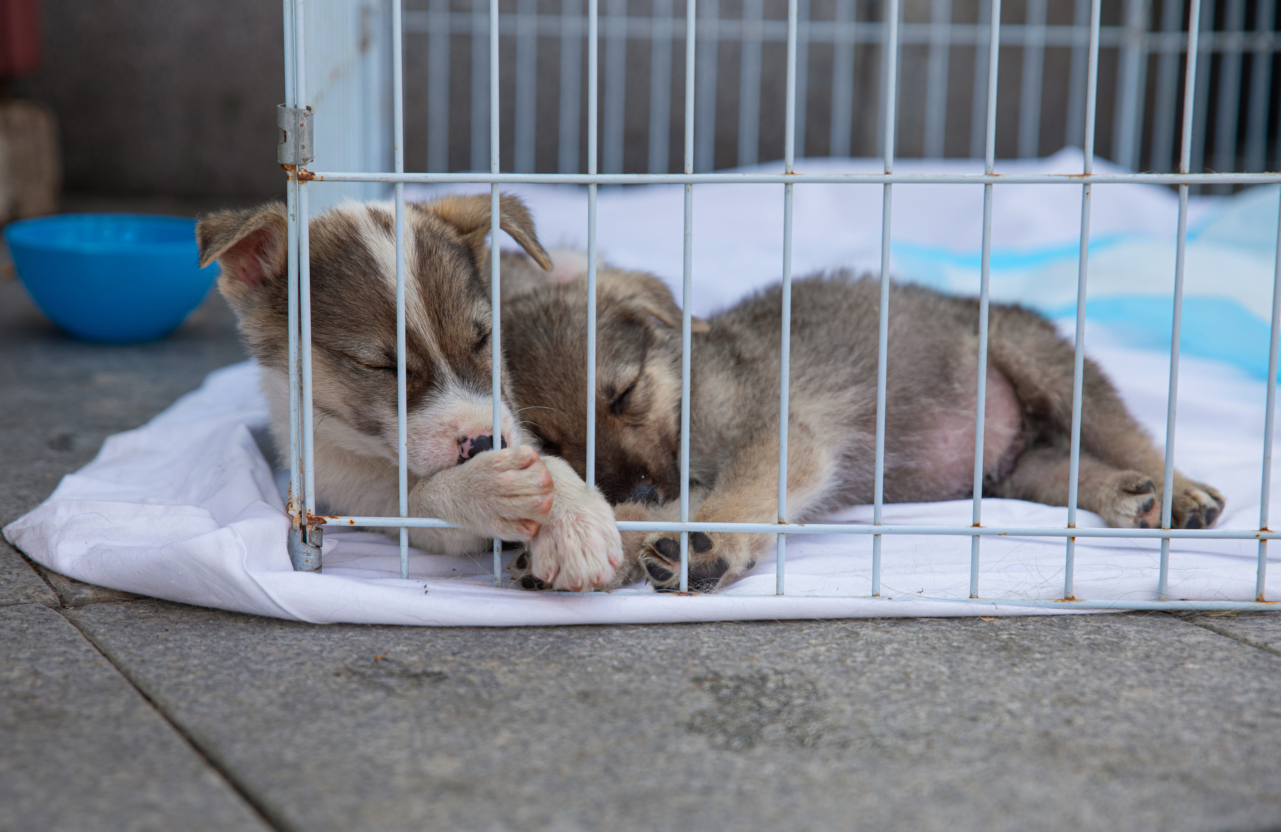 Фестиваль «Дорога домой». Семейный и частный фотограф во Владивостоке