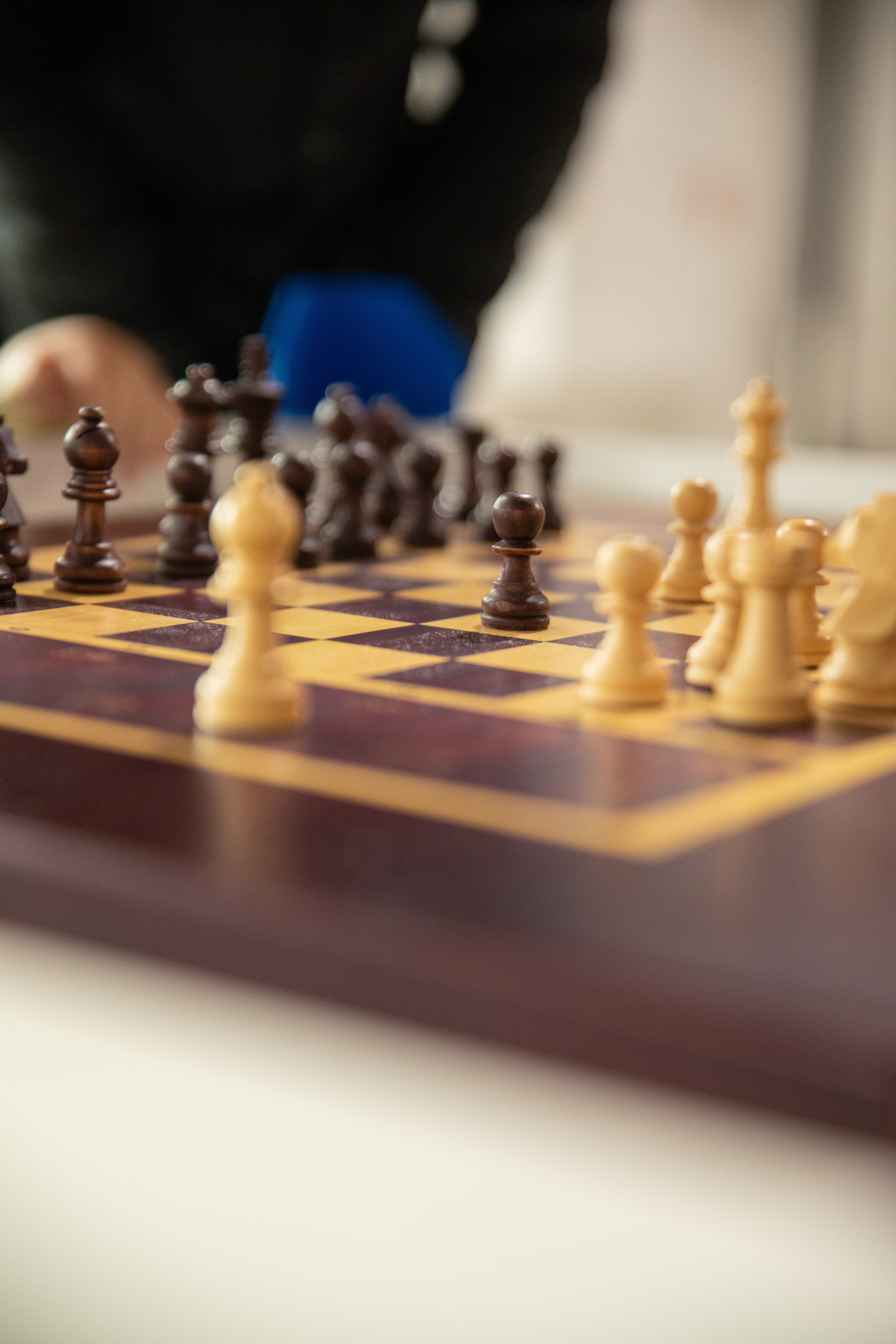 Фестиваль роботов. Семейный и частный фотограф во Владивостоке