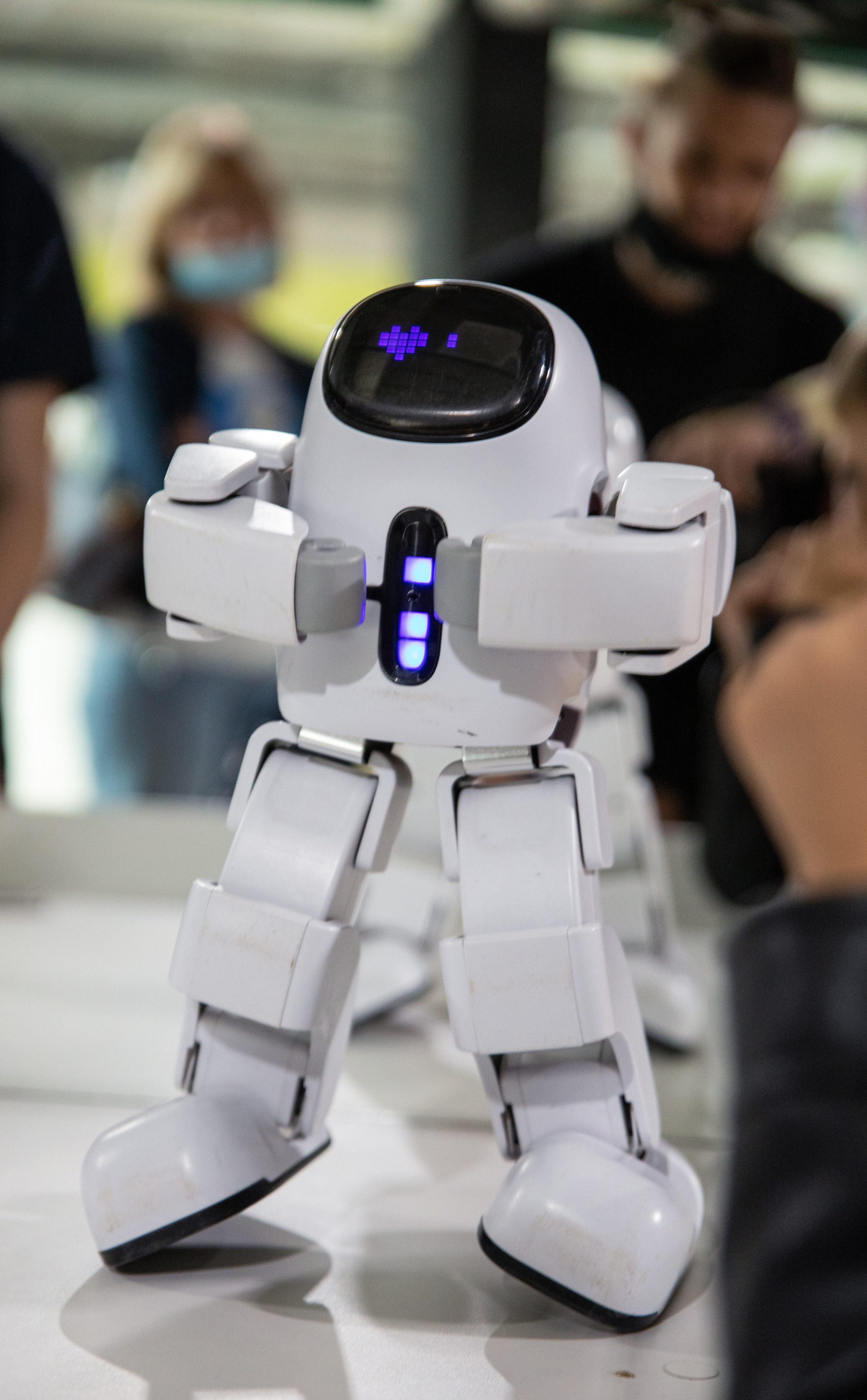 Фестиваль роботов. Семейный и частный фотограф во Владивостоке