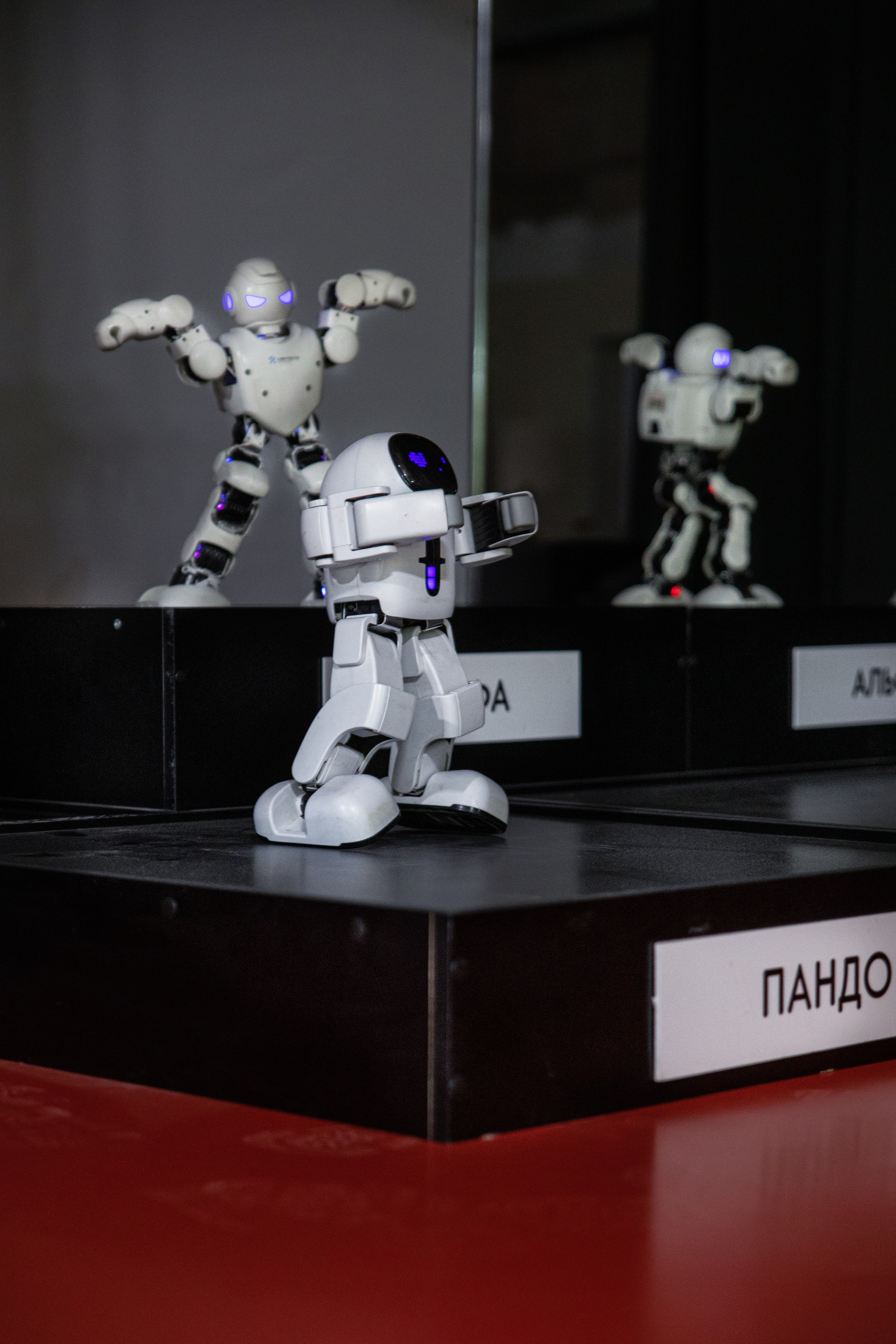 Фестиваль роботов. Семейный и частный фотограф во Владивостоке