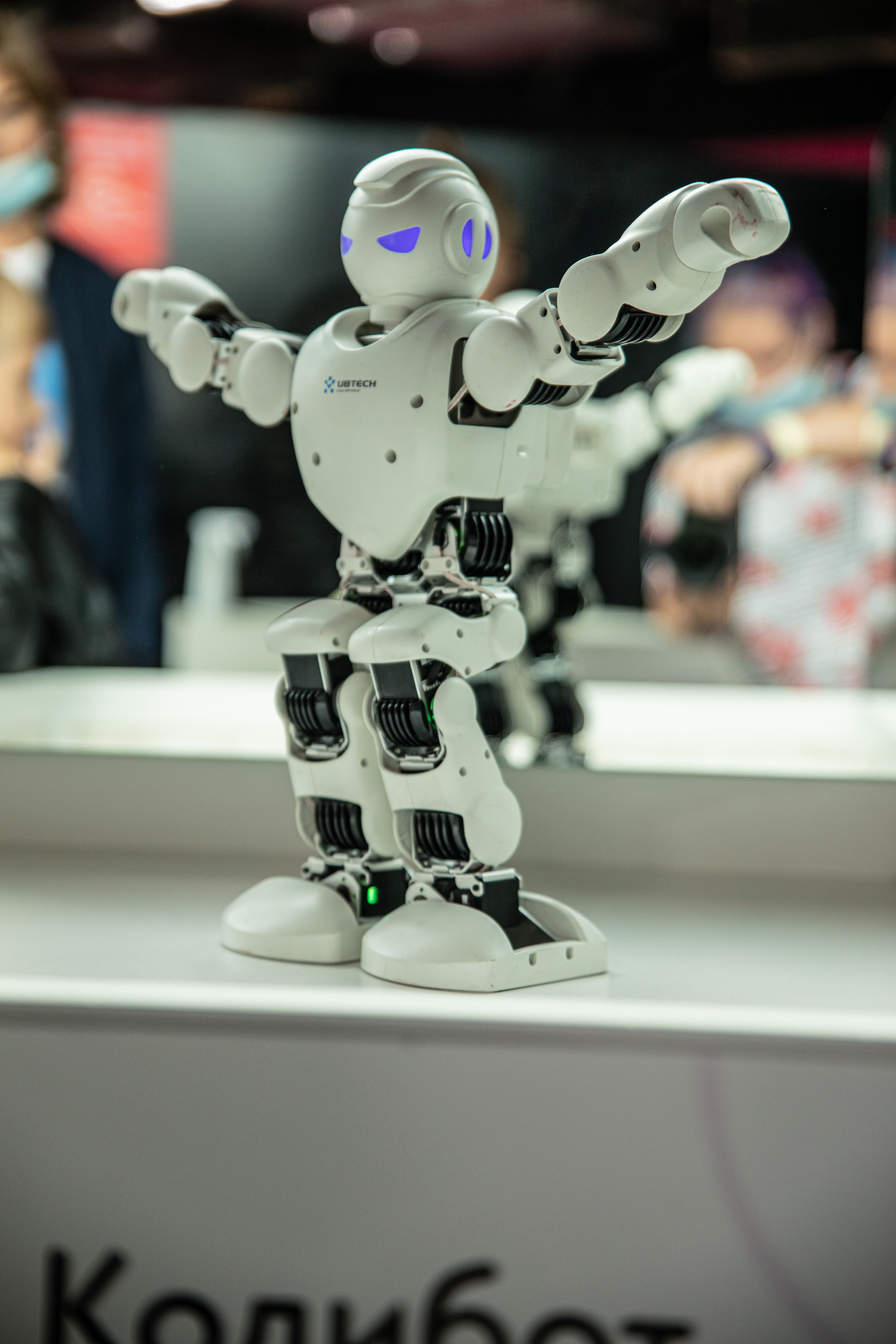 Фестиваль роботов. Семейный и частный фотограф во Владивостоке