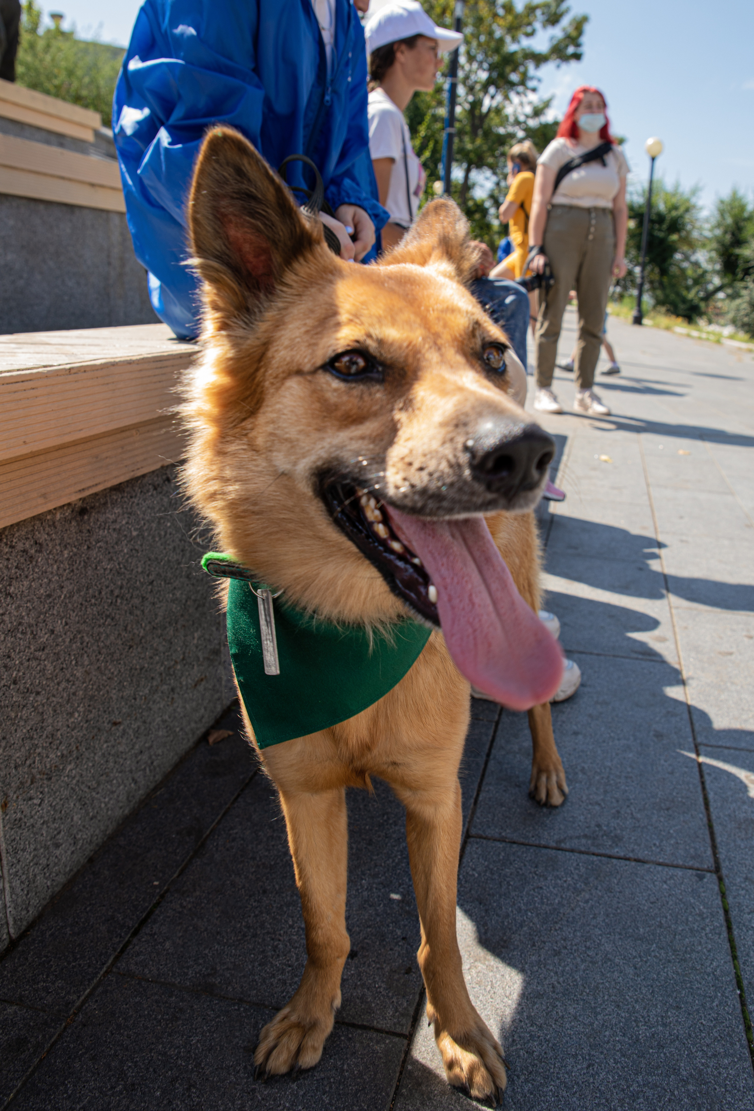 Фестиваль «Дорога домой». Семейный и частный фотограф во Владивостоке