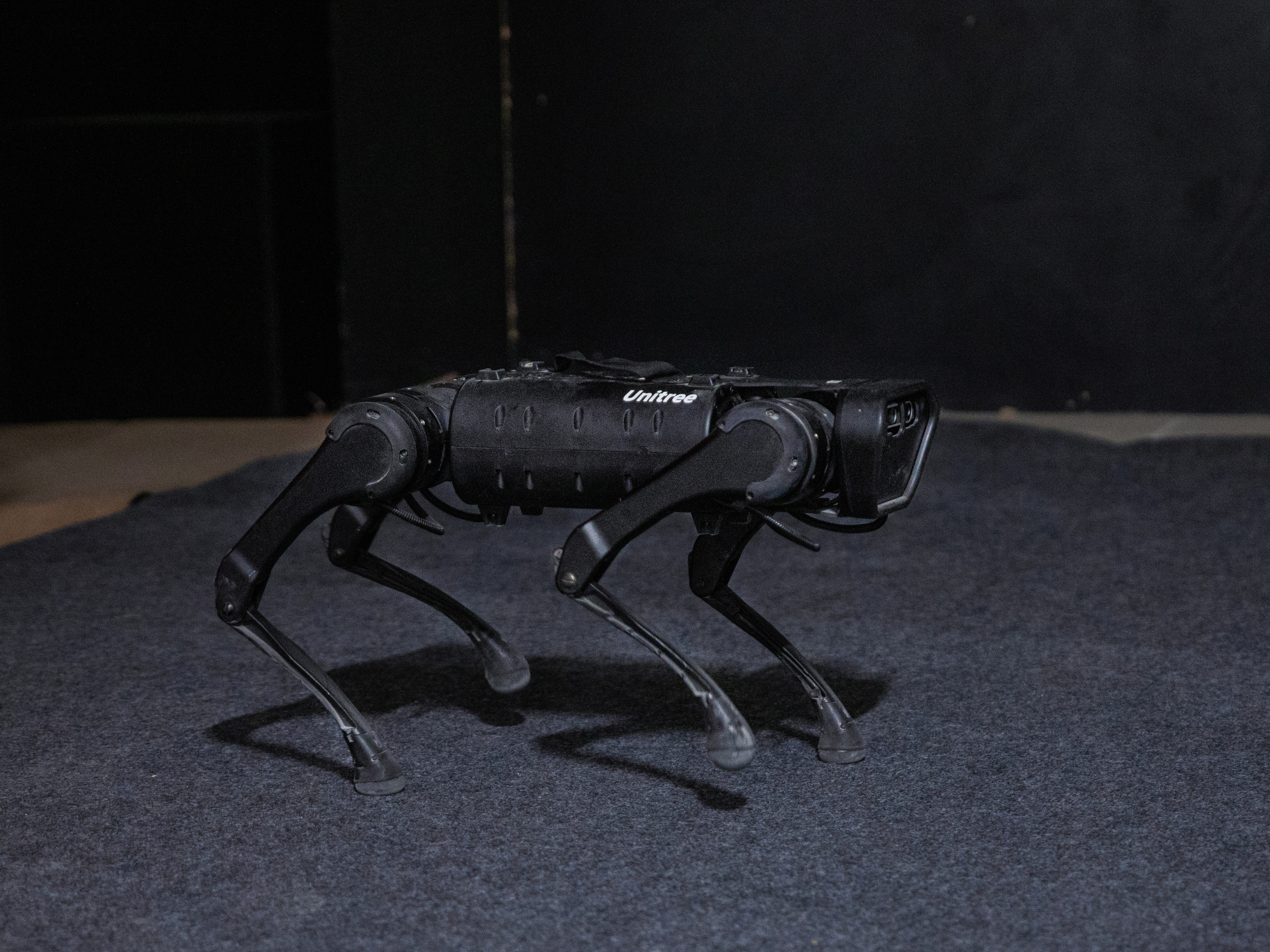 Фестиваль роботов. Семейный и частный фотограф во Владивостоке