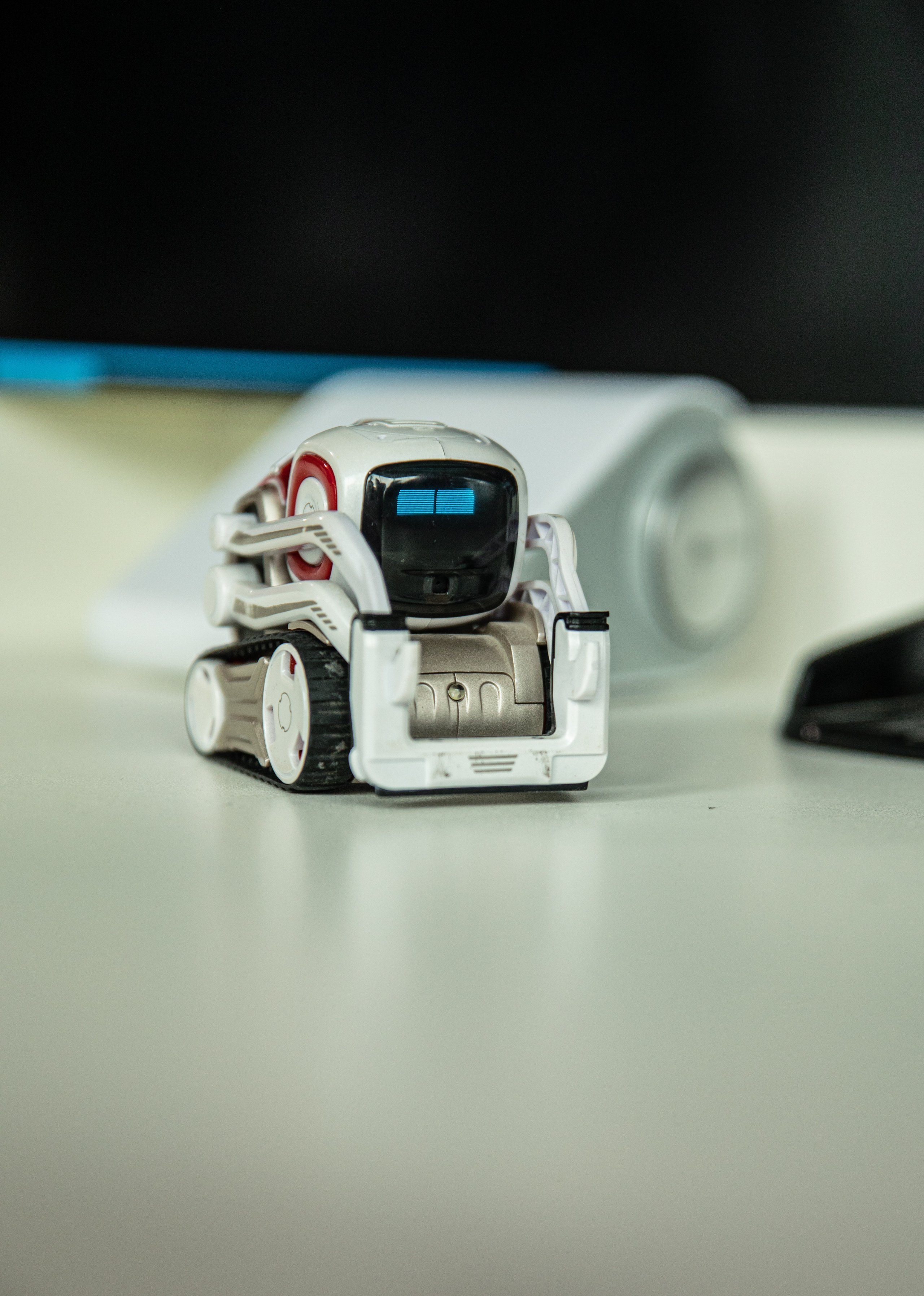 Фестиваль роботов. Семейный и частный фотограф во Владивостоке