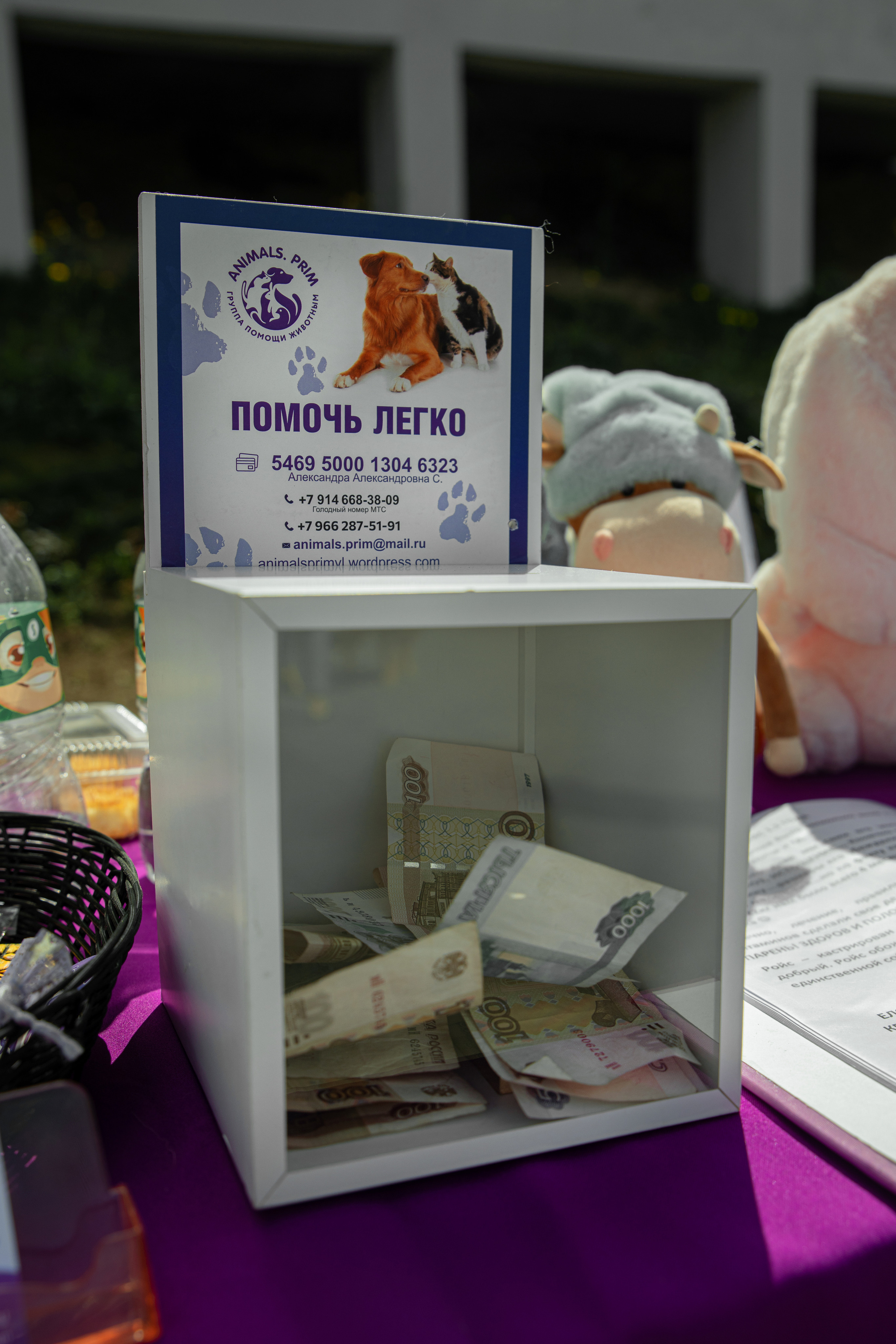 Фестиваль «Дорога домой». Семейный и частный фотограф во Владивостоке