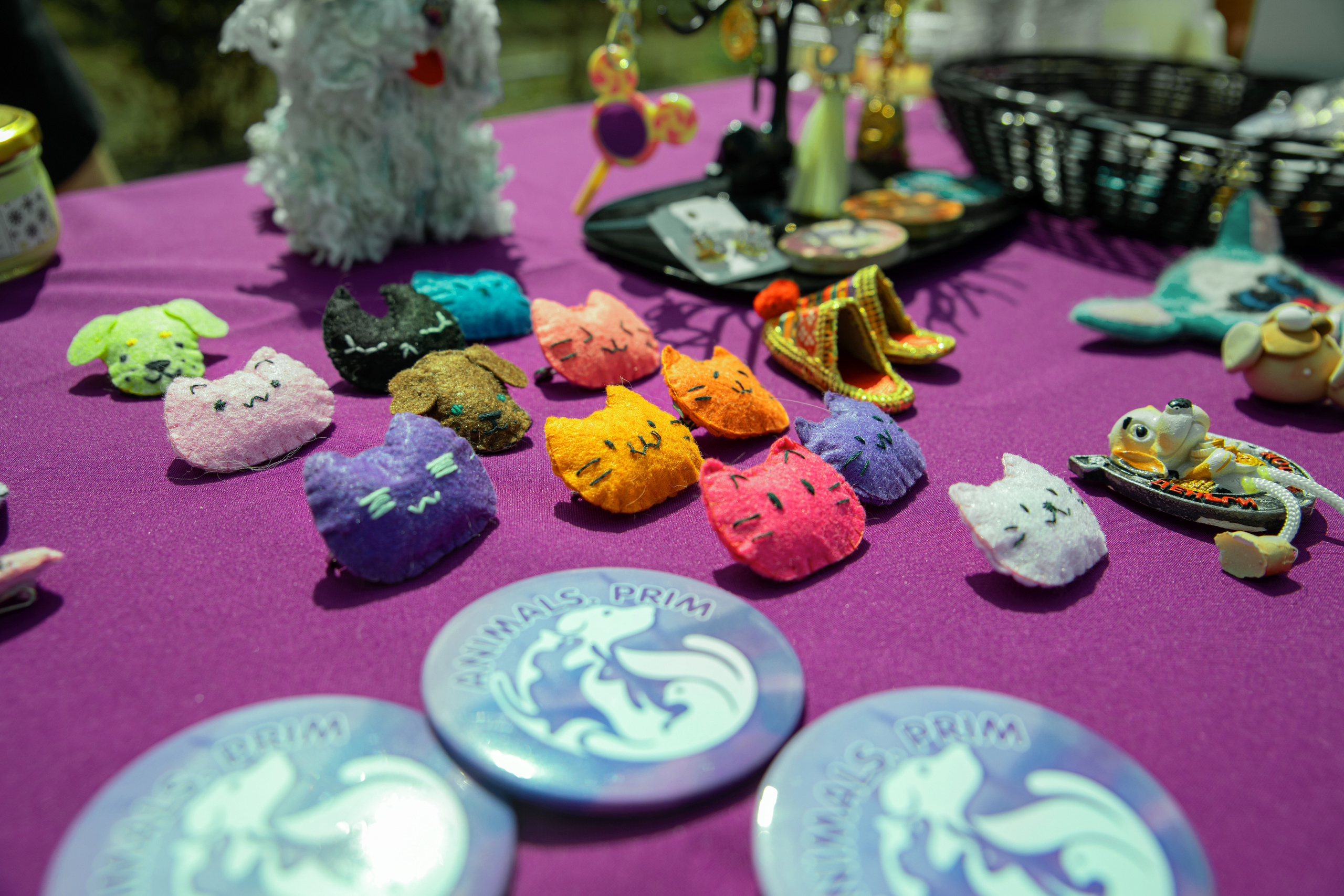 Фестиваль «Дорога домой». Семейный и частный фотограф во Владивостоке