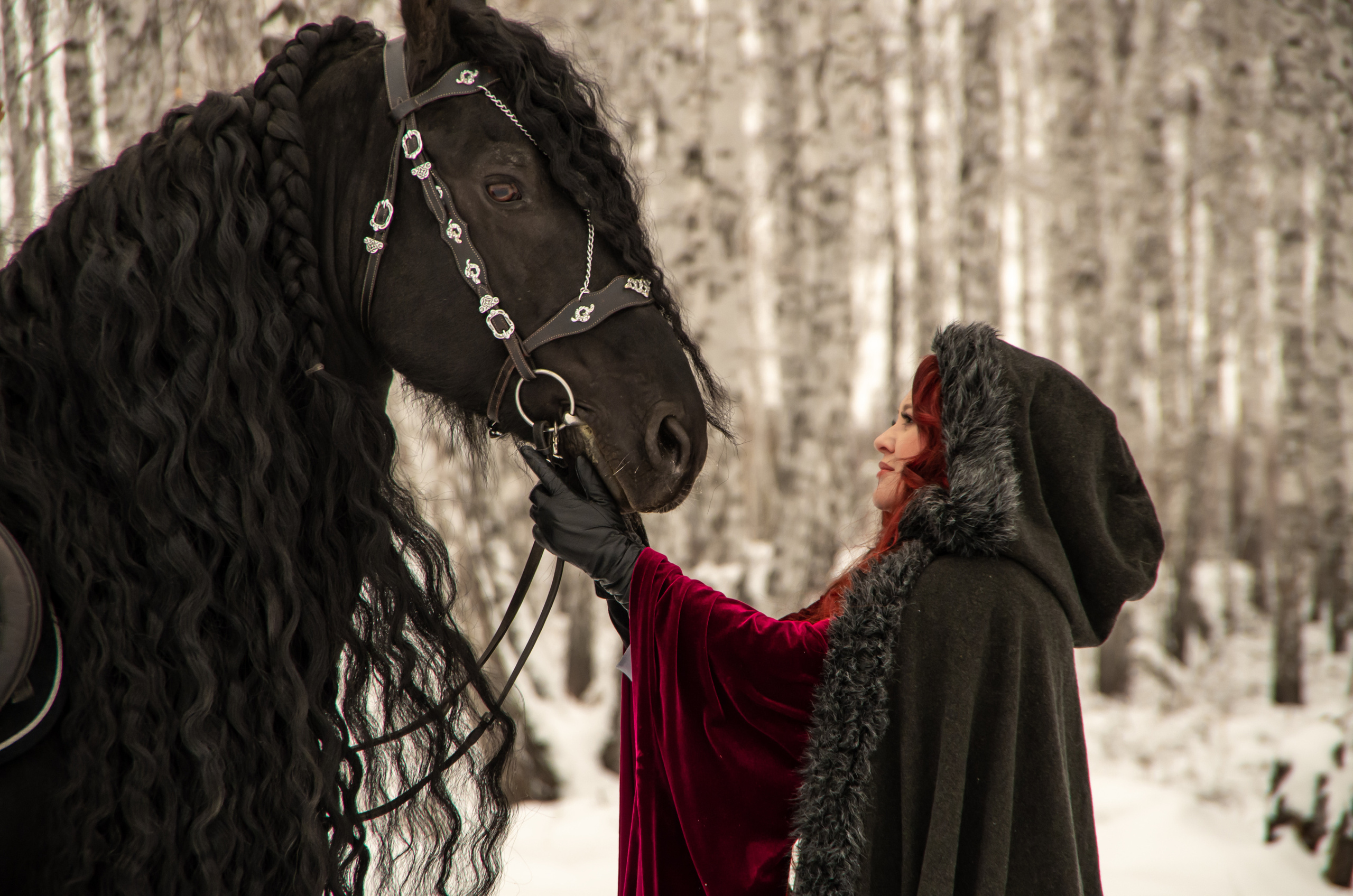 Съёмка с лошадьми: разное. Фотограф Марина Доглядная Челябинск фотосессии с лошадьми, мотоциклами