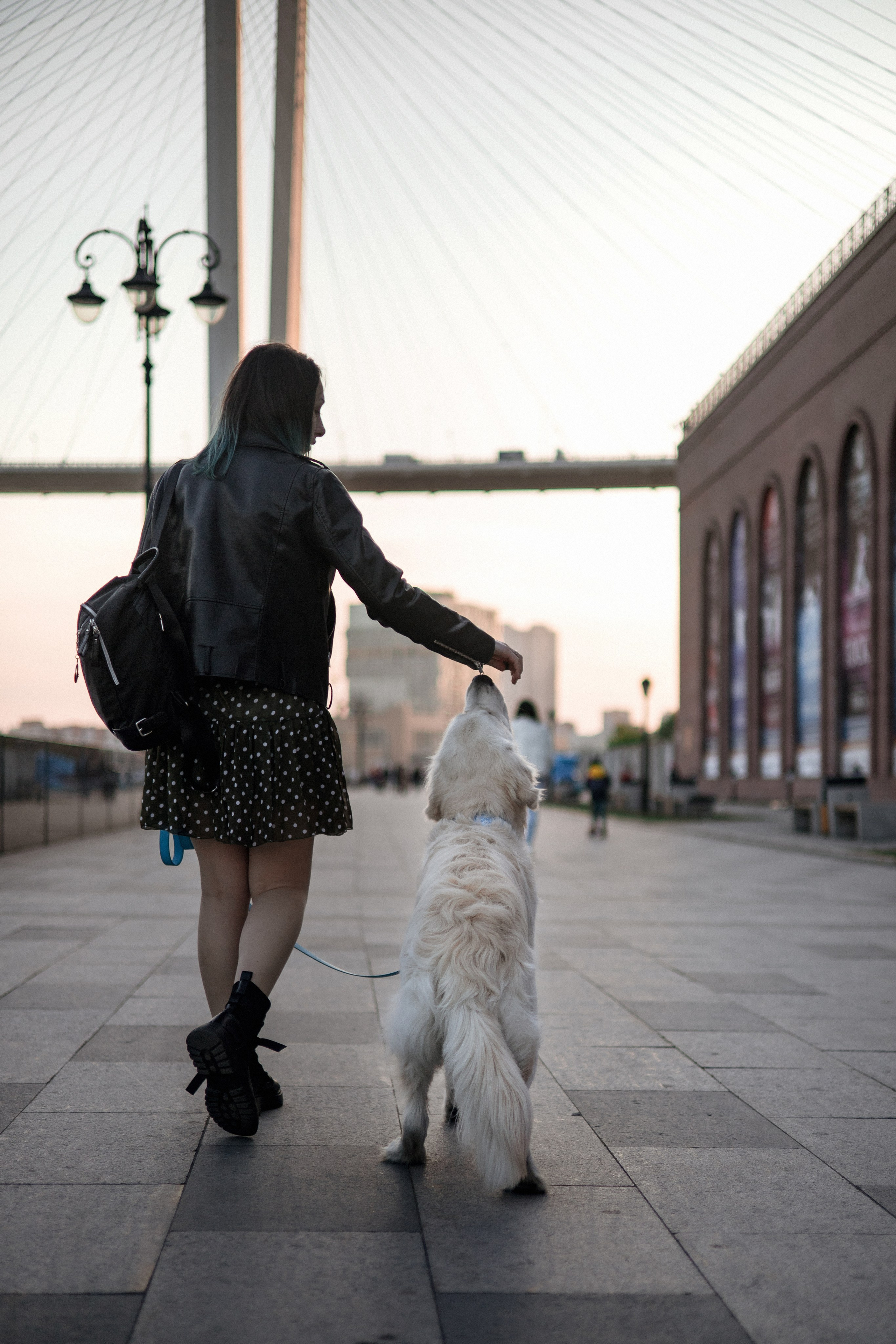 Ира и Байрон. Фотограф — анималист Владивосток, Алина