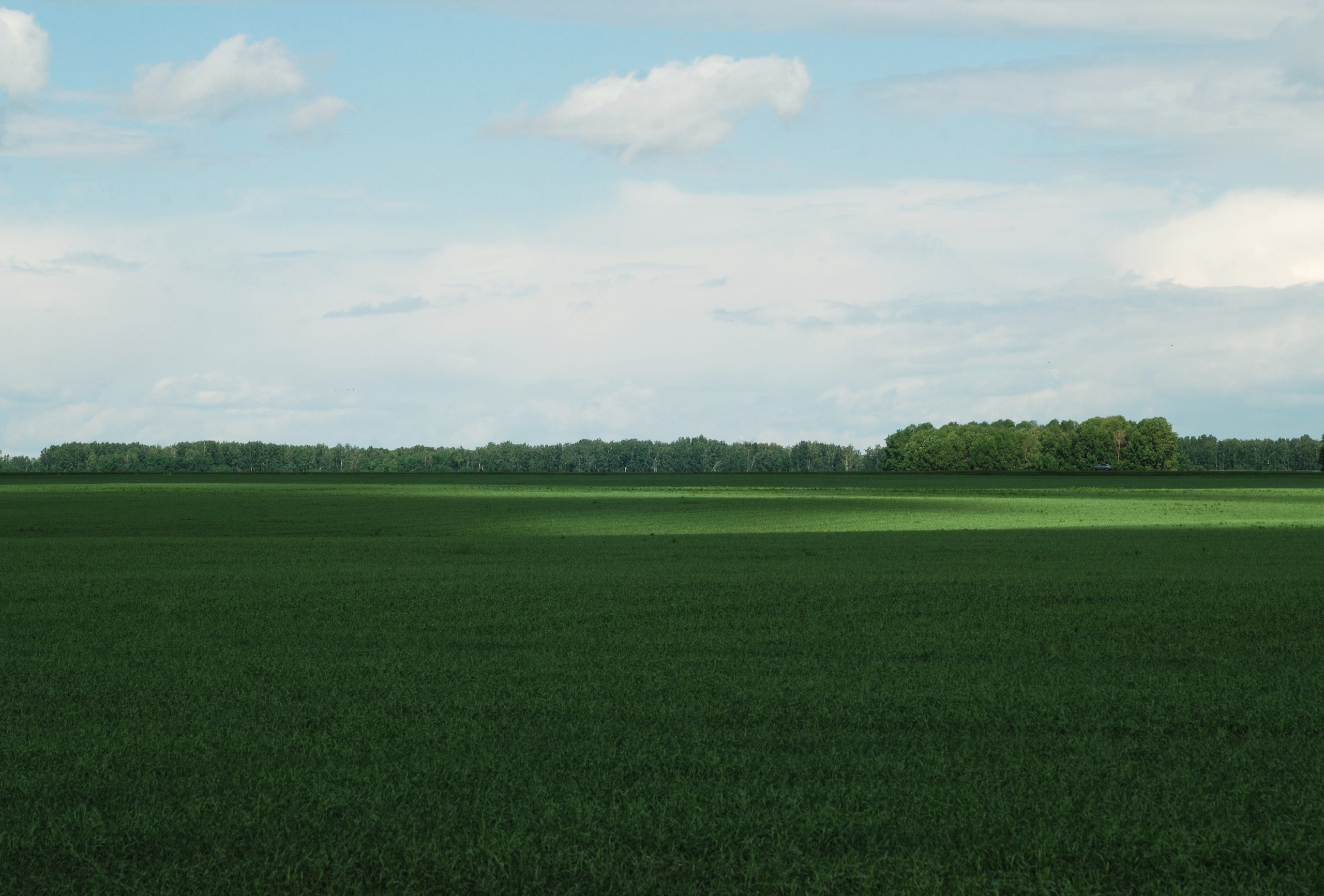 Этот прекрасный мир