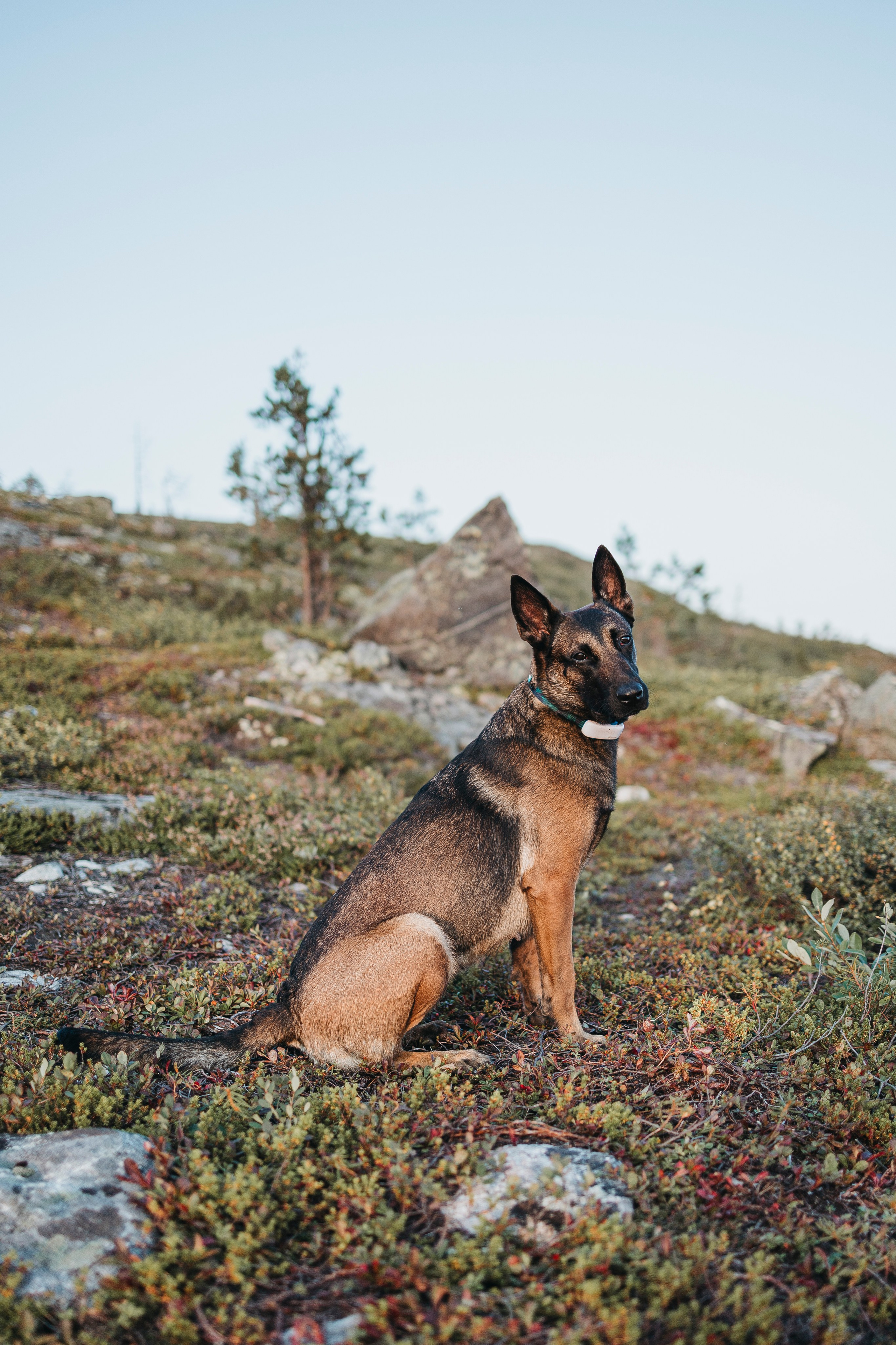 Горы. Фотограф-анималист Анна Маринич