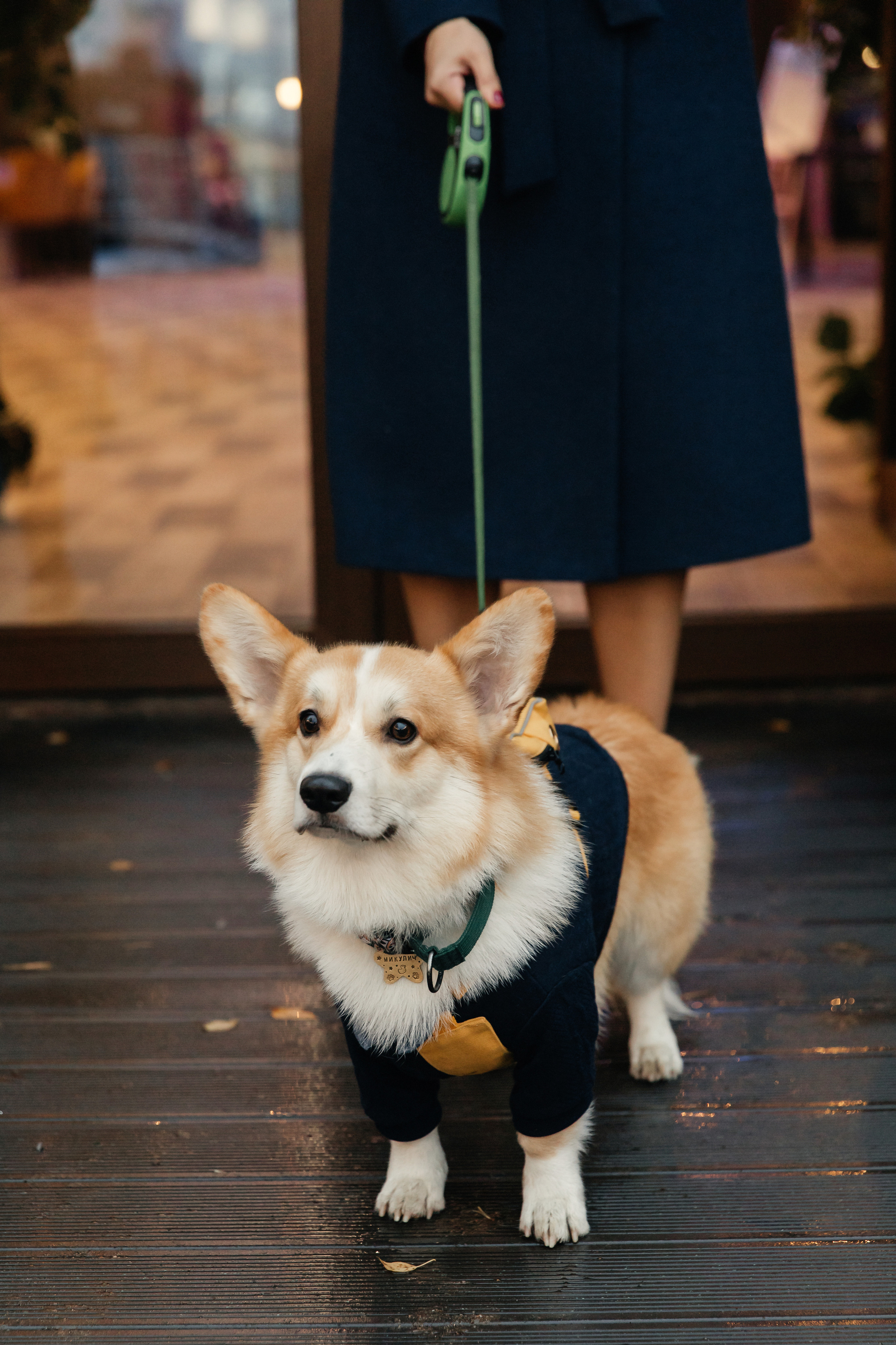 Екатерина и Михаил, 09.11. Свадебный фотограф  в Санкт-Петербурге Волощук Евгений