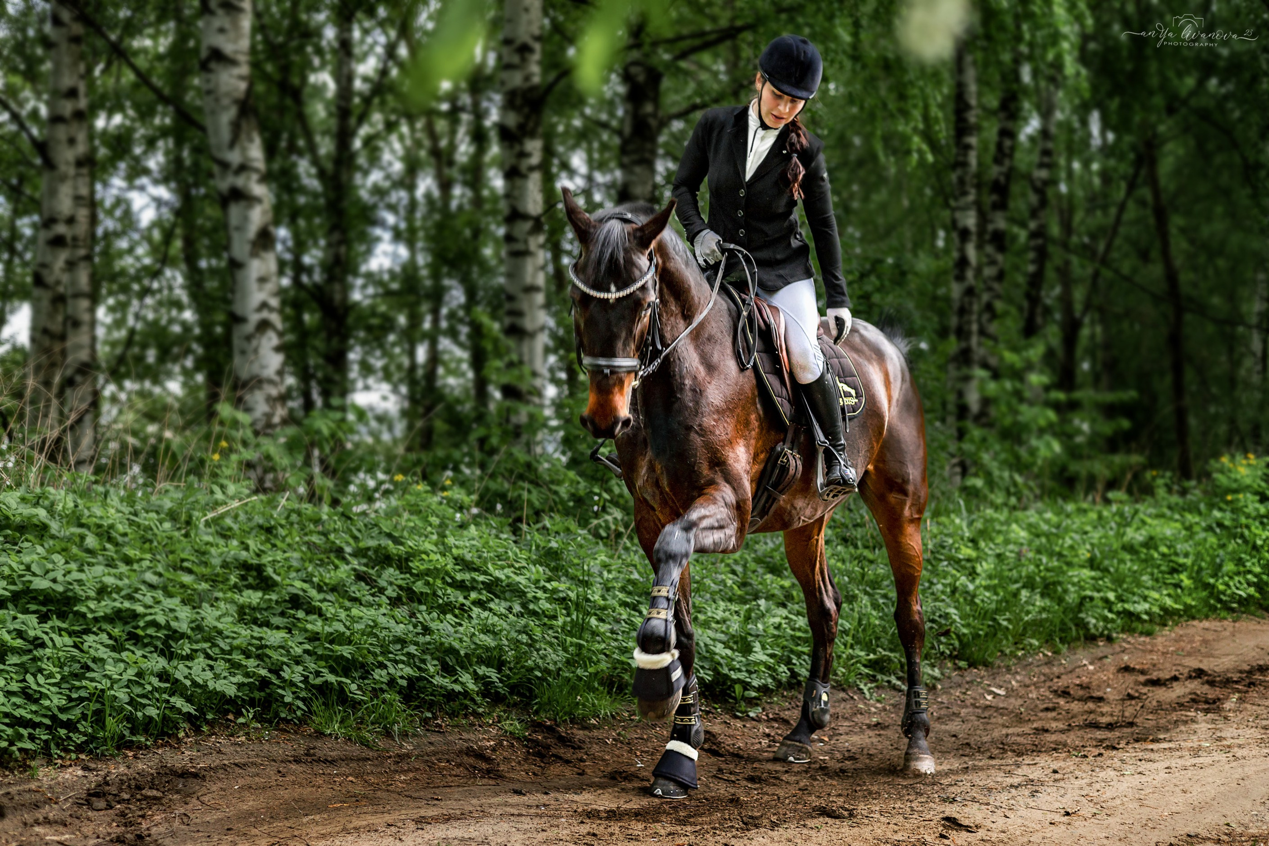 Конное…. Фотограф анималист Аня Ливанова | Рыбинск