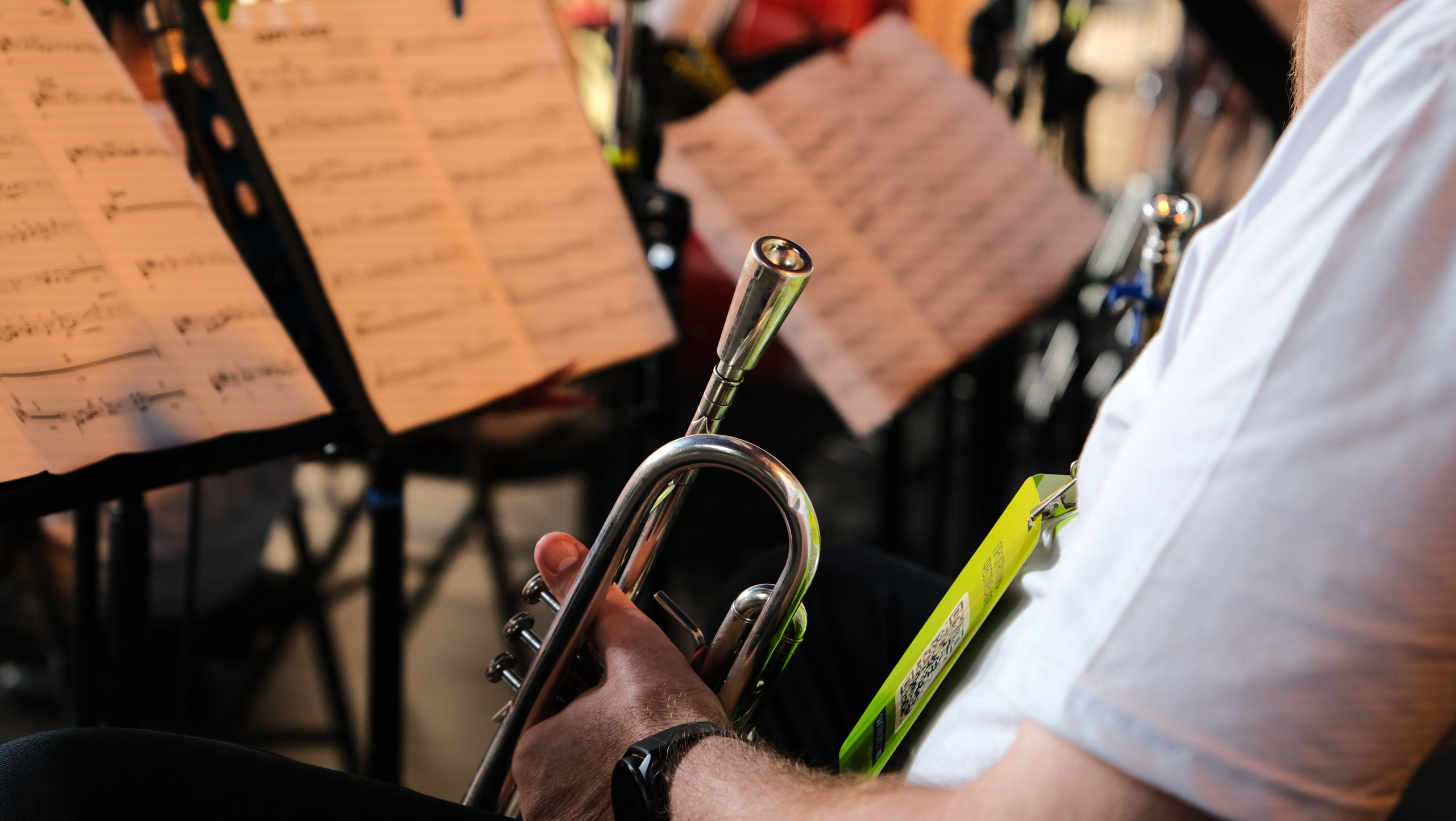 Фестиваль Джаза в Сочи. Фотограф Сочи Евгений Соколов