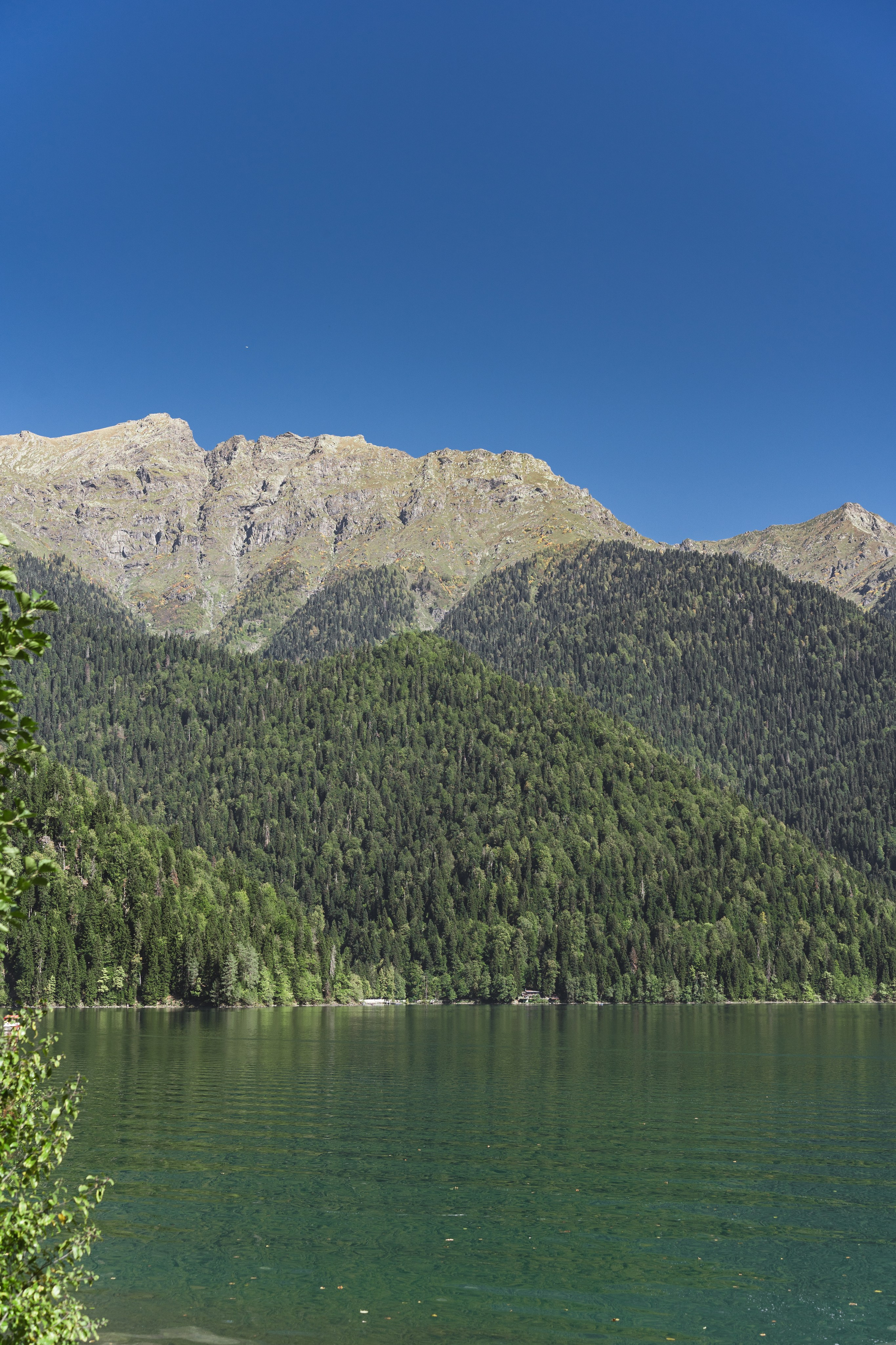 Фотографии из поездки в Абхазию. Предметный фотограф Санкт-Петербург