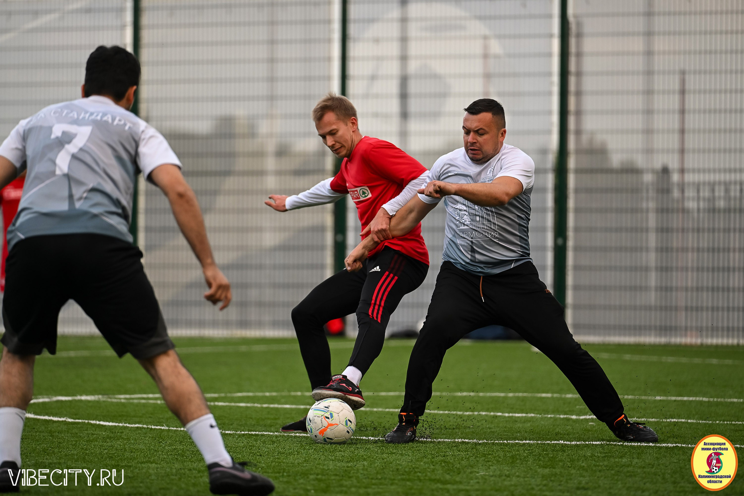 ИГРЫ МИНИ-ФУТБОЛЬНОЙ ЛИГИ. VIBECITY.RU Вайб Сити Ру Фоторепортажи Фотоотчеты Калининград