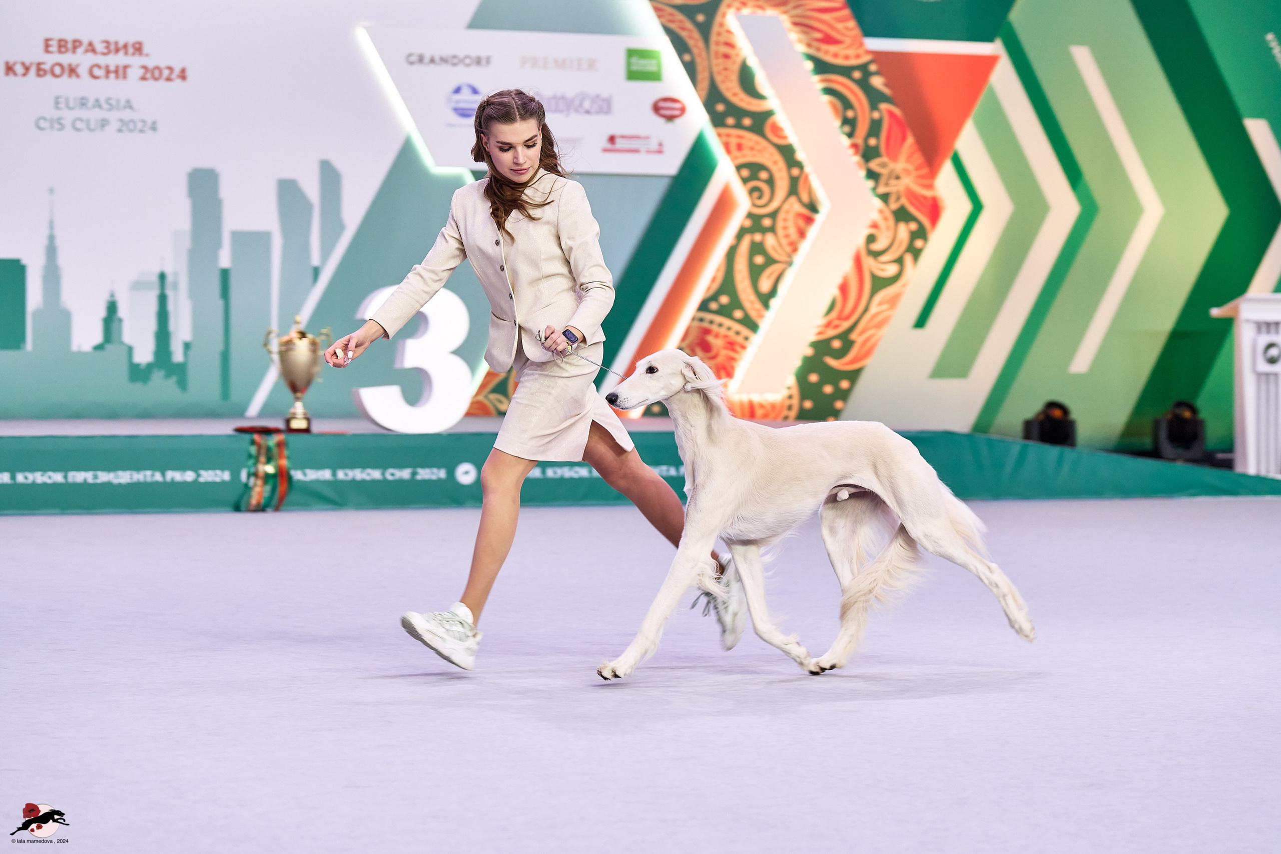 17.11.2024 «ЕВРАЗИЯ. КУБОК СНГ 2024»