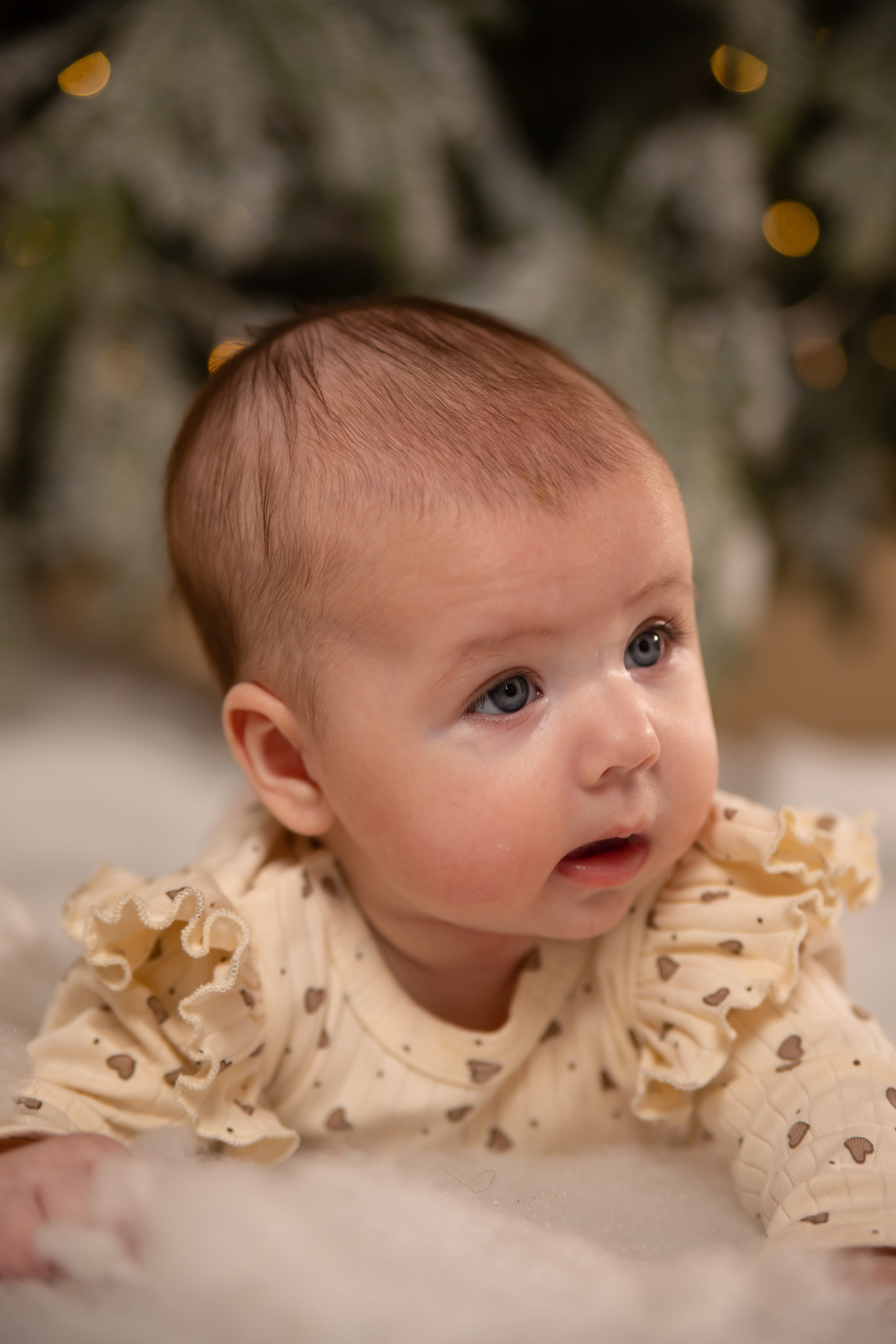 Новый Год. Фотограф Наталья Лепесей