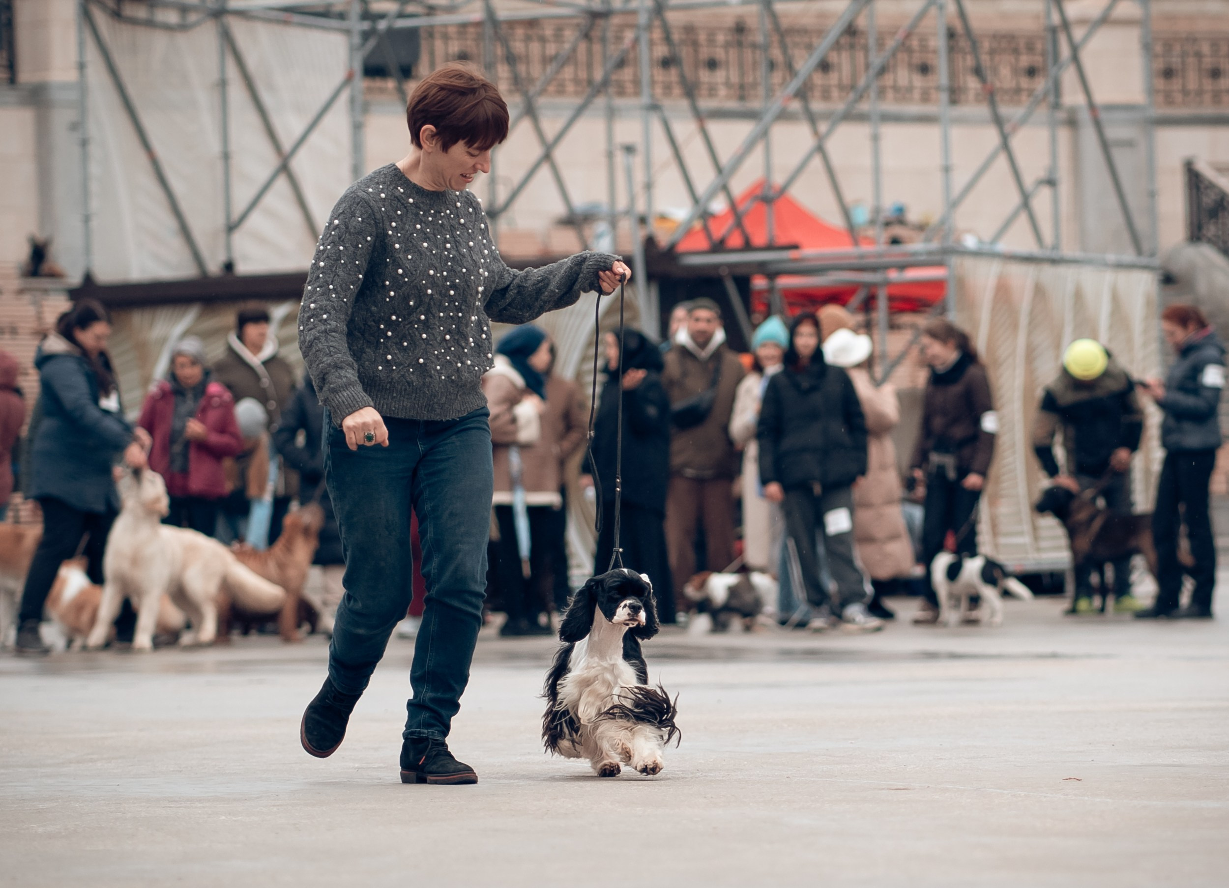 Благотворительная выставка собак в Новом Херсонесе г. Севастополь. Церковный фотограф Севастополь
