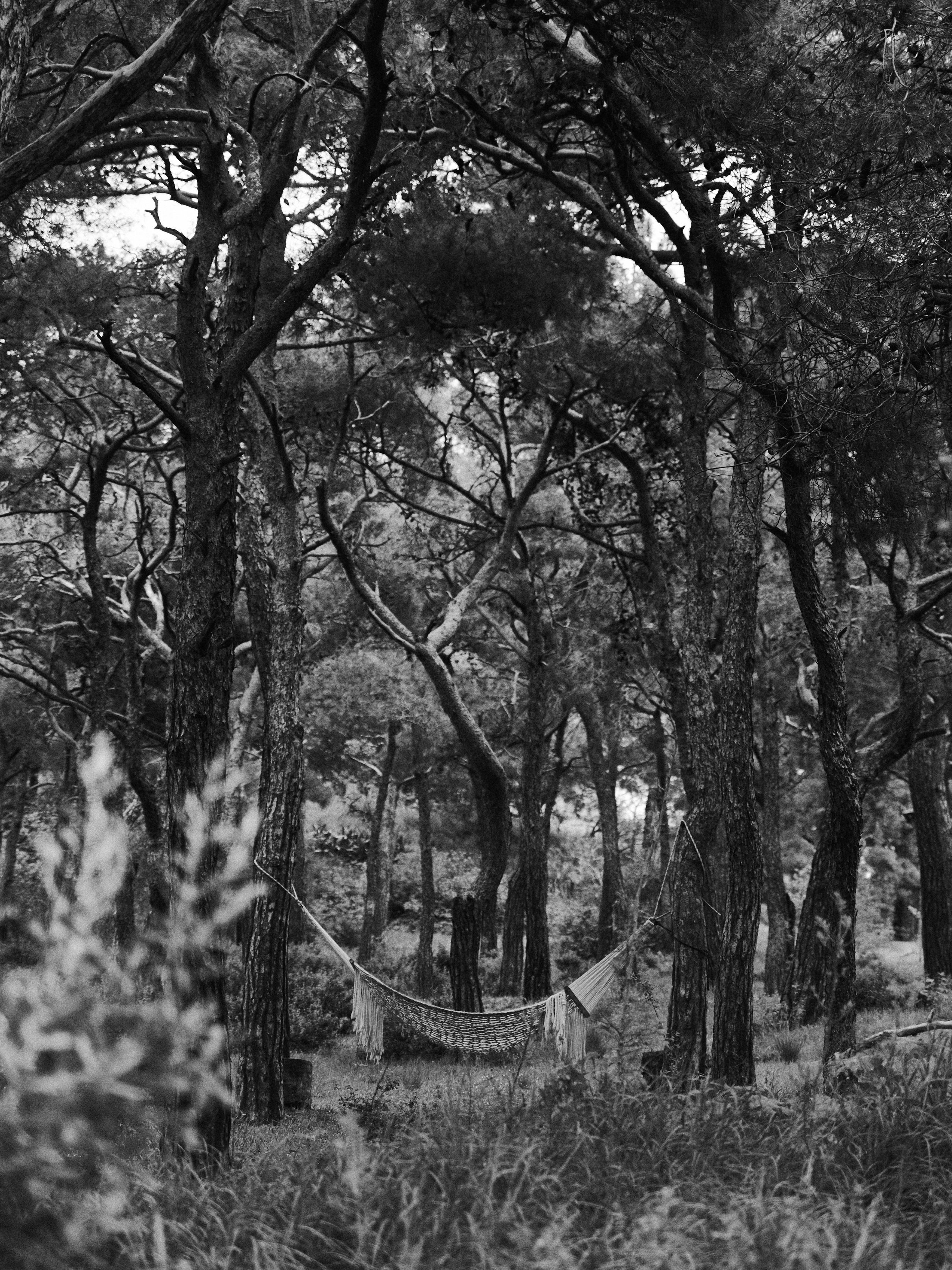 B&W. Jorgis — фотограф в Хургаде / обучение фотографии