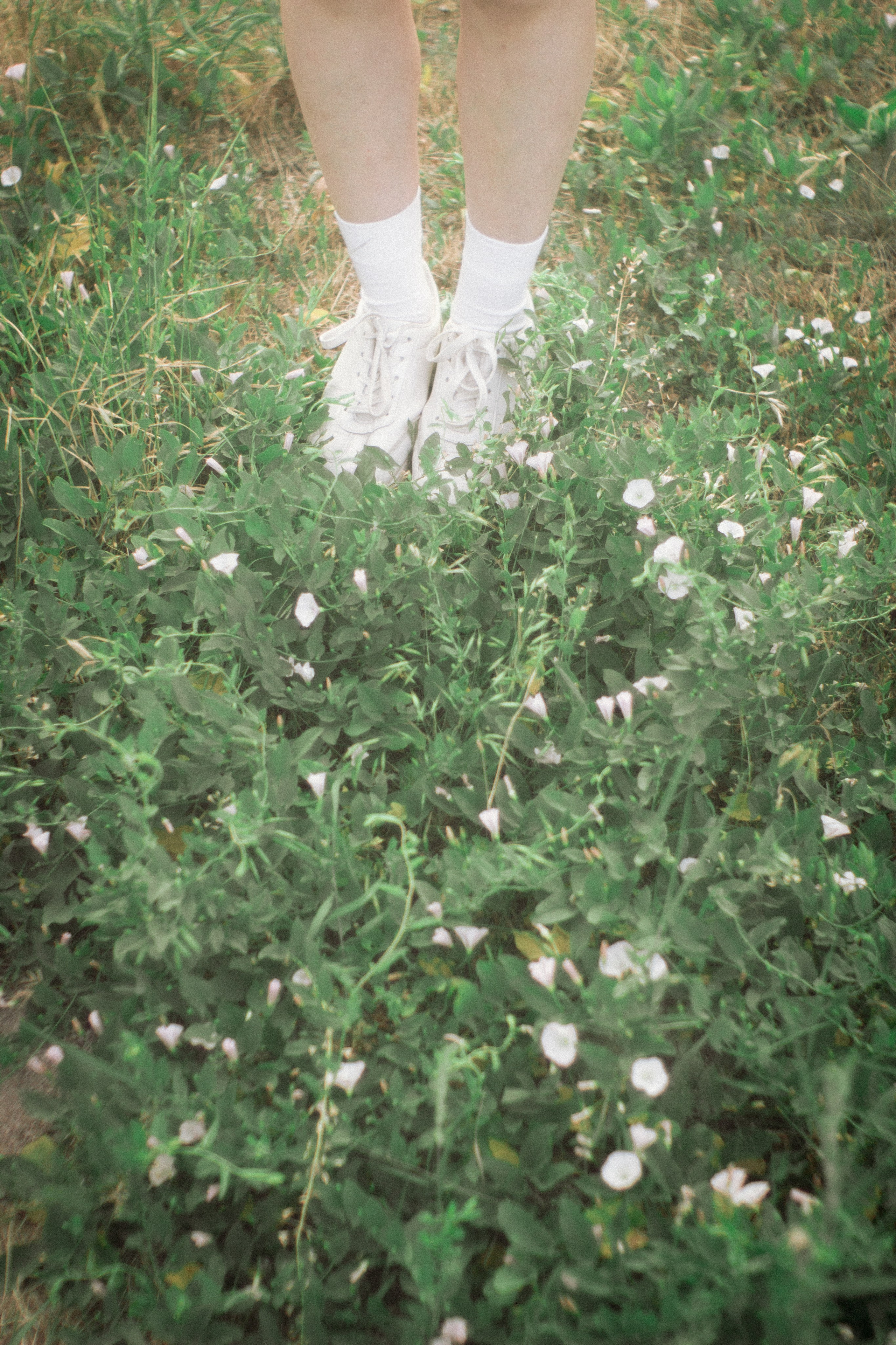 Безмятежное лето. • Фотограф Александра Светозар Алчевск •