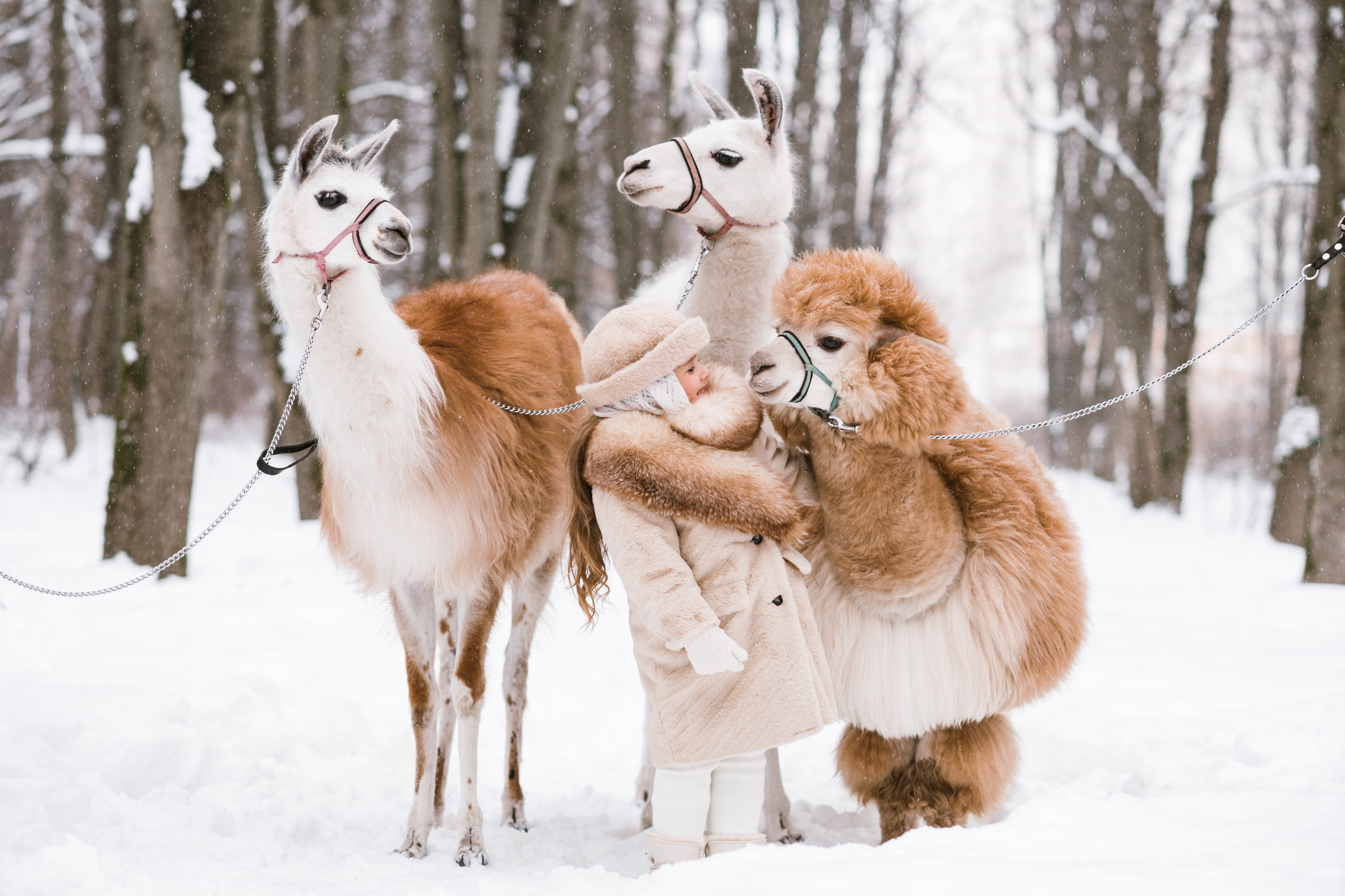 Winter. Семейный и контент фотограф