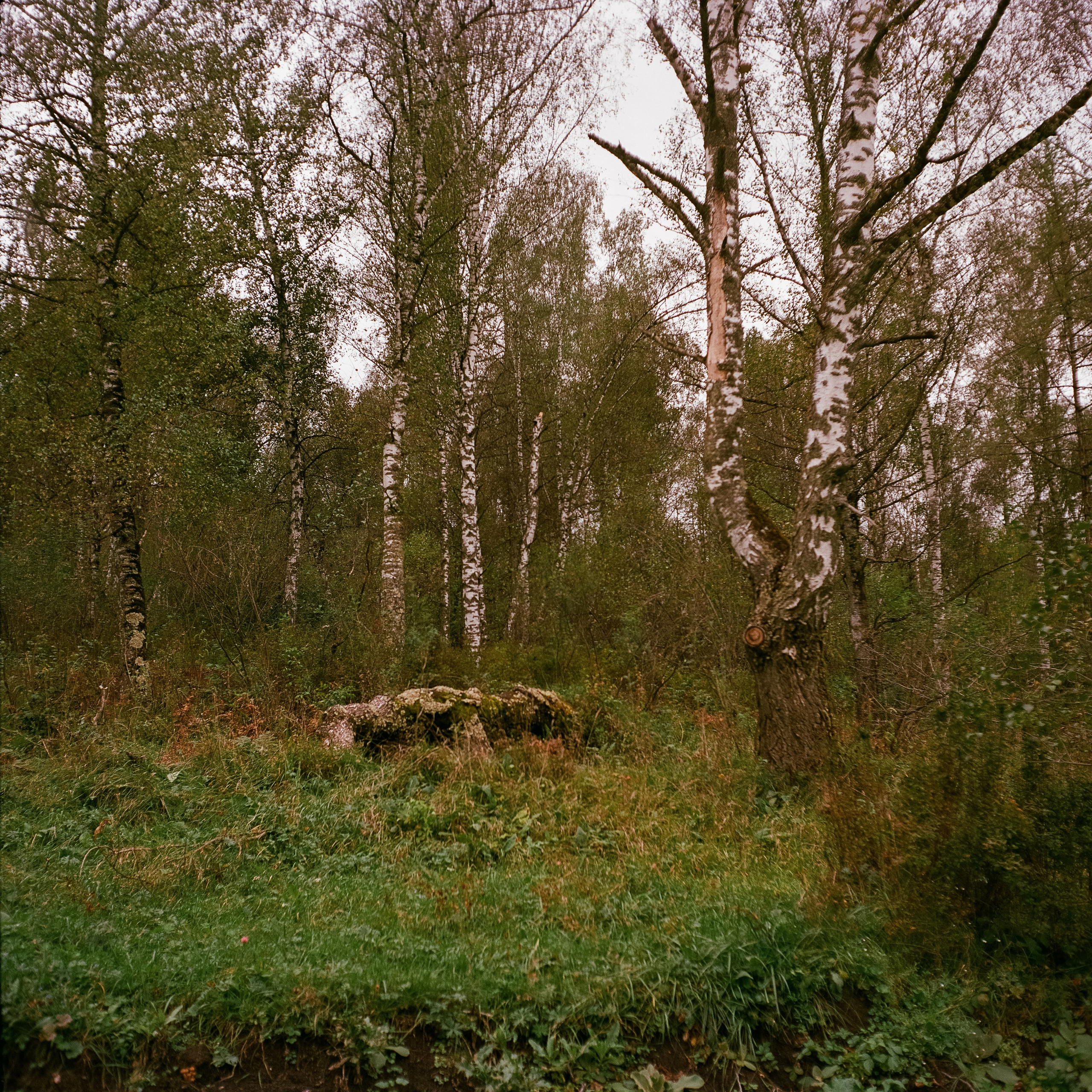 Press Van 120 - Asahi-Kogaku Takumar 75mm f/3.5