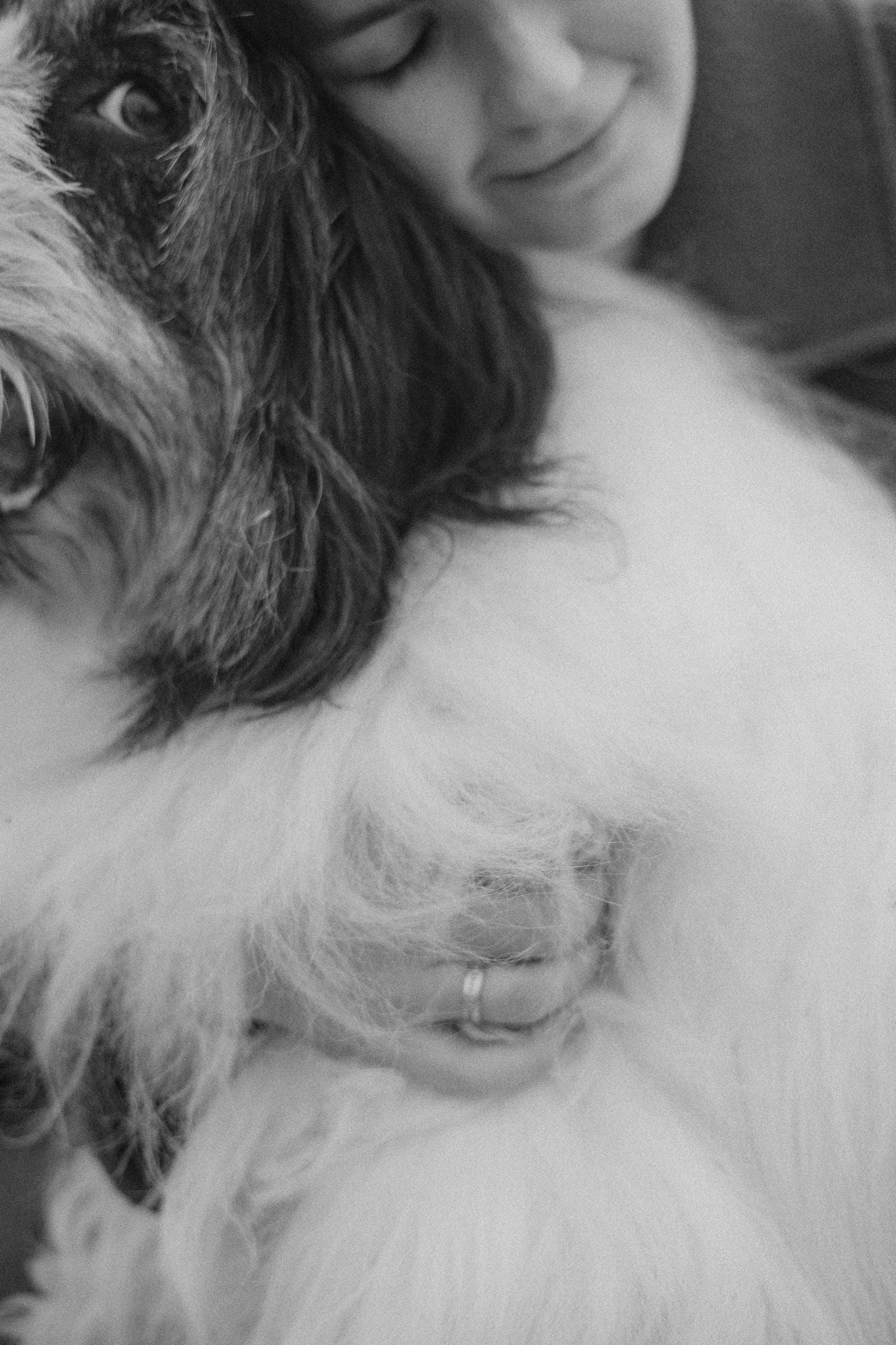 Даша, Глеб, Барс и Бруно. Фотограф-анималист Богданова Полина