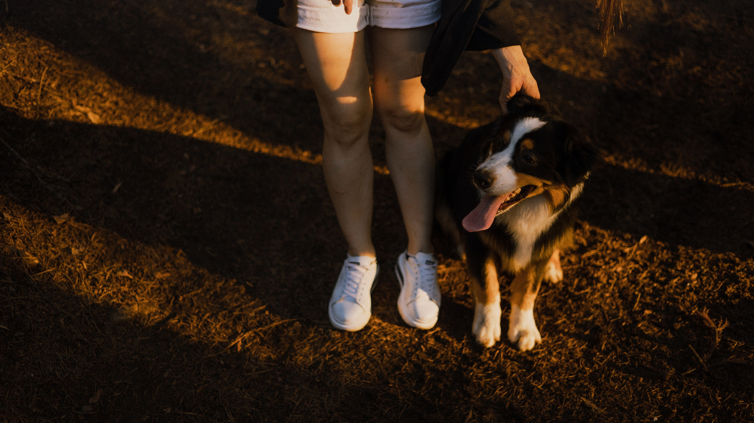 Яна и Уга. Фотограф-анималист Богданова Полина