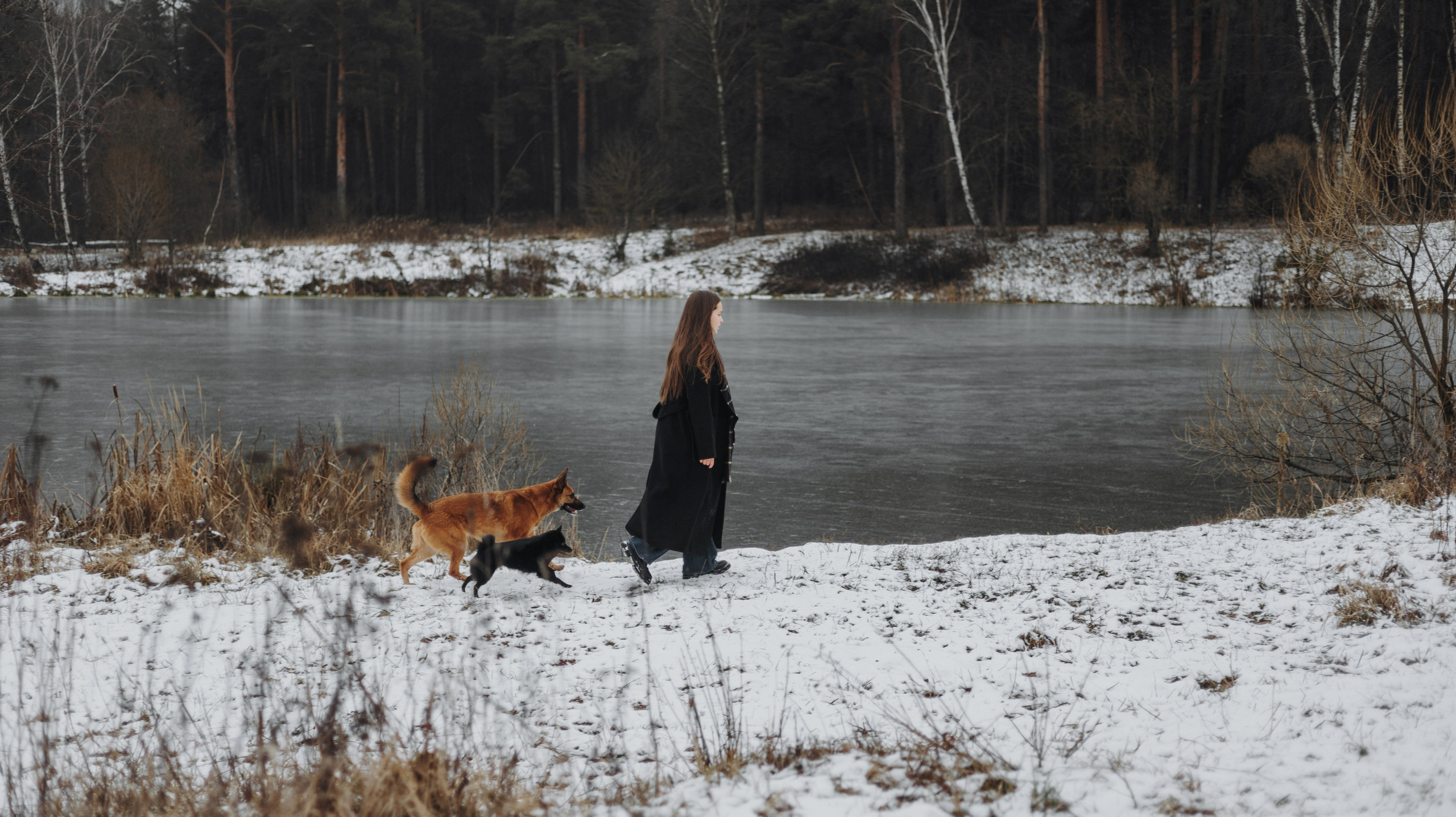 Юля, Лара и Йоми. Фотограф-анималист Богданова Полина