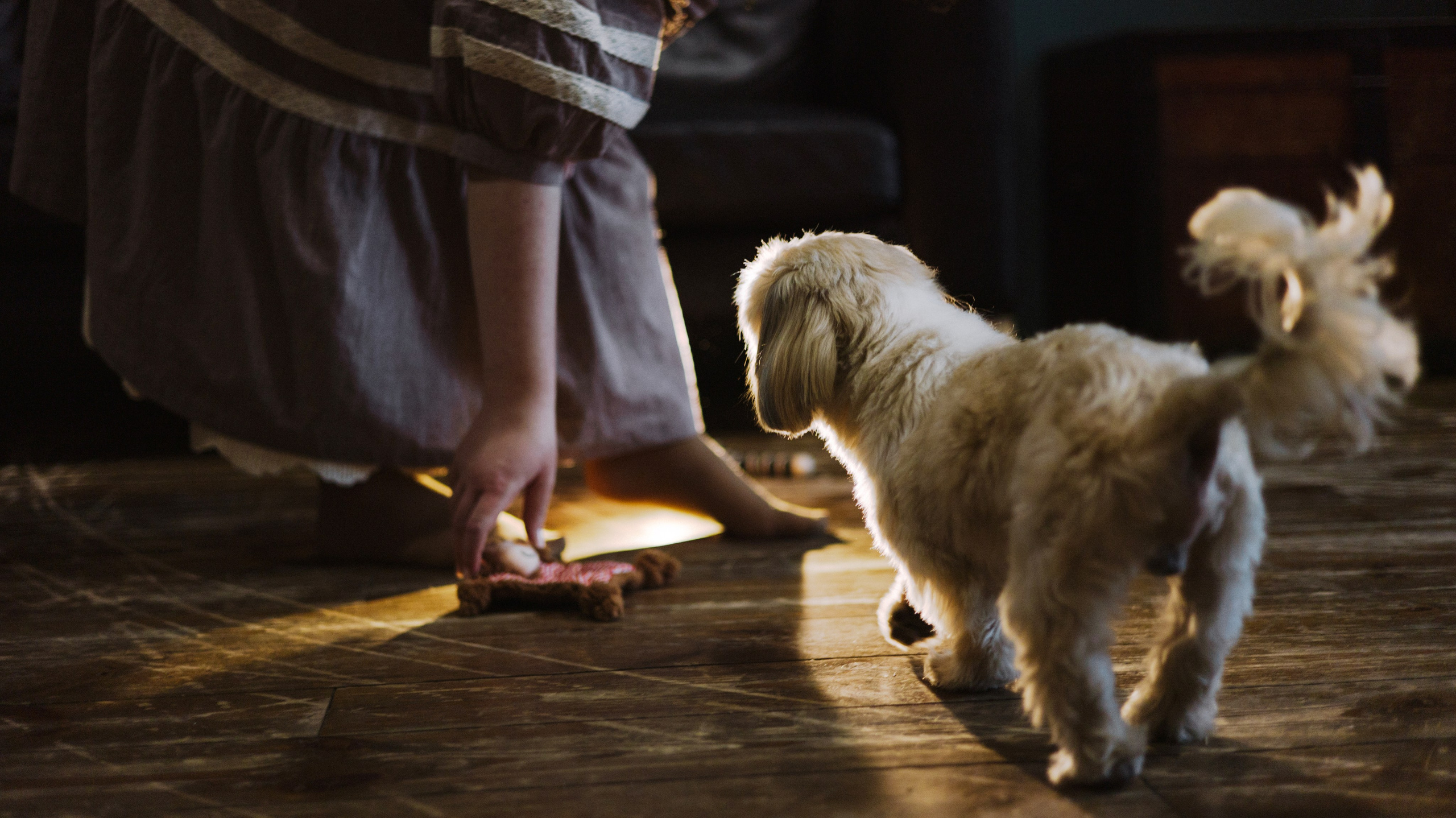 Ирина и Винни. Фотограф-анималист Богданова Полина