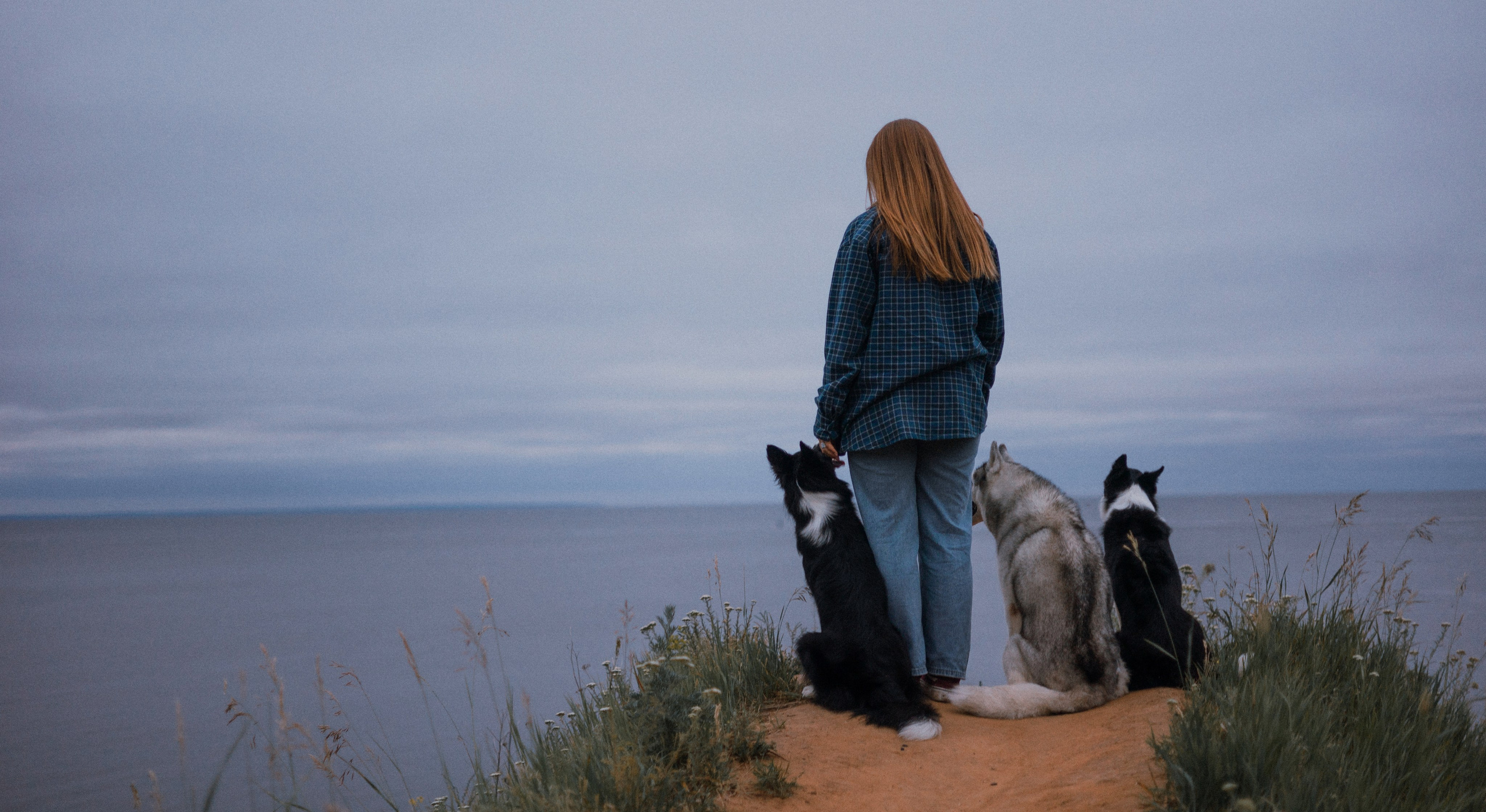 Аделя, Вандер, Шайна и Бая. Фотограф-анималист Богданова Полина