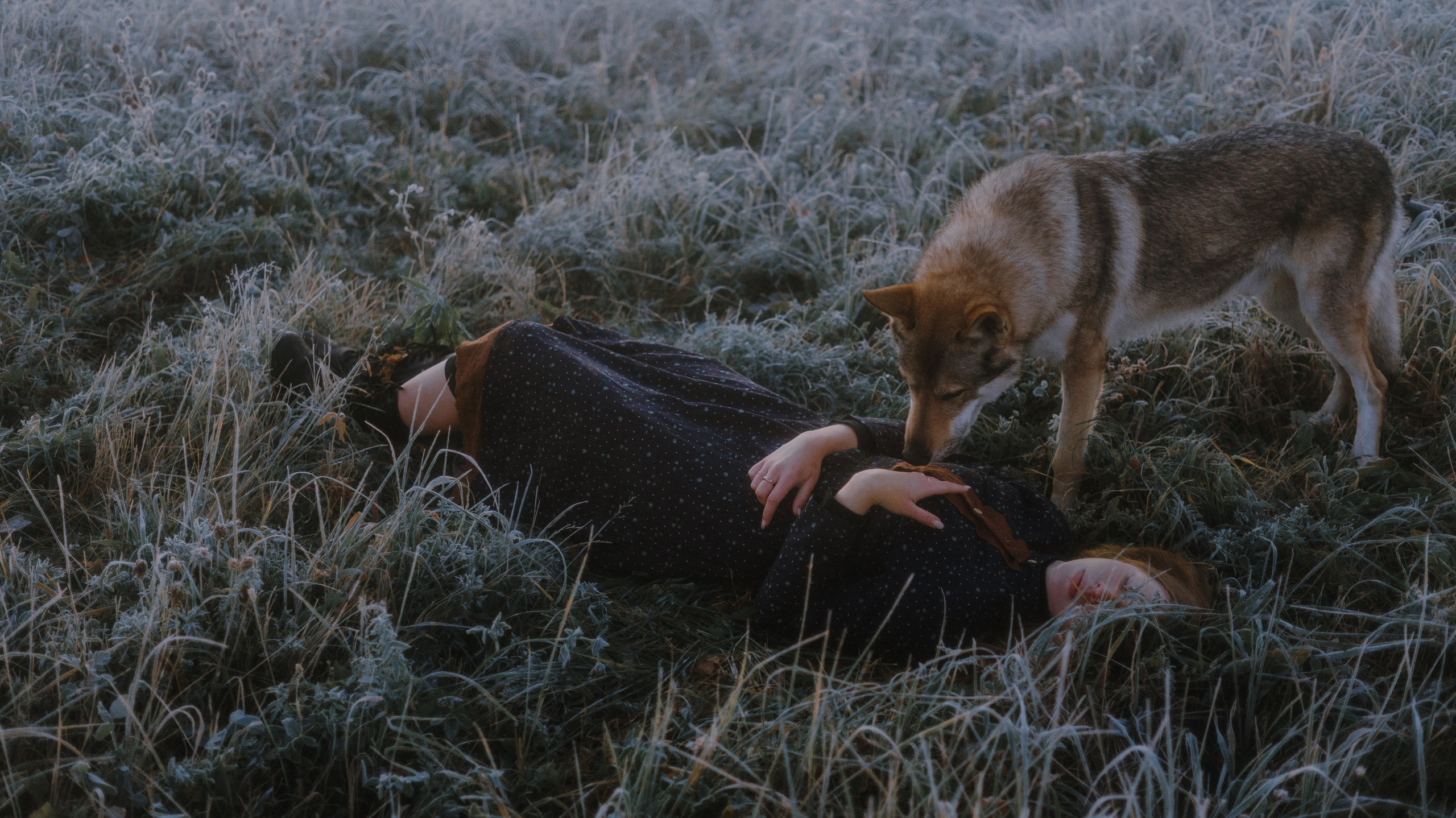 Полина и Вегард. Фотограф-анималист Богданова Полина