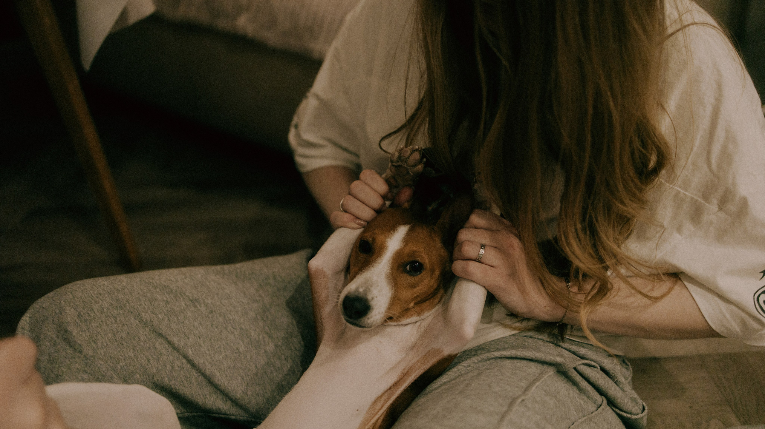 Люба, Никита и Бахати. Фотограф-анималист Богданова Полина