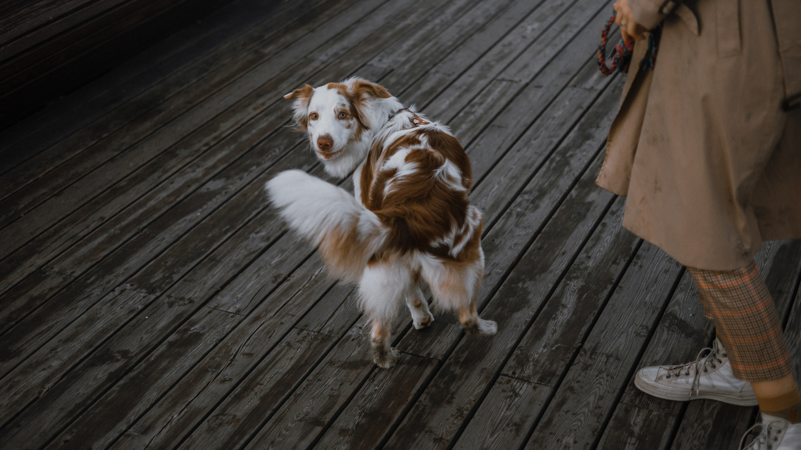 Светлана и Оливия. Фотограф-анималист Богданова Полина