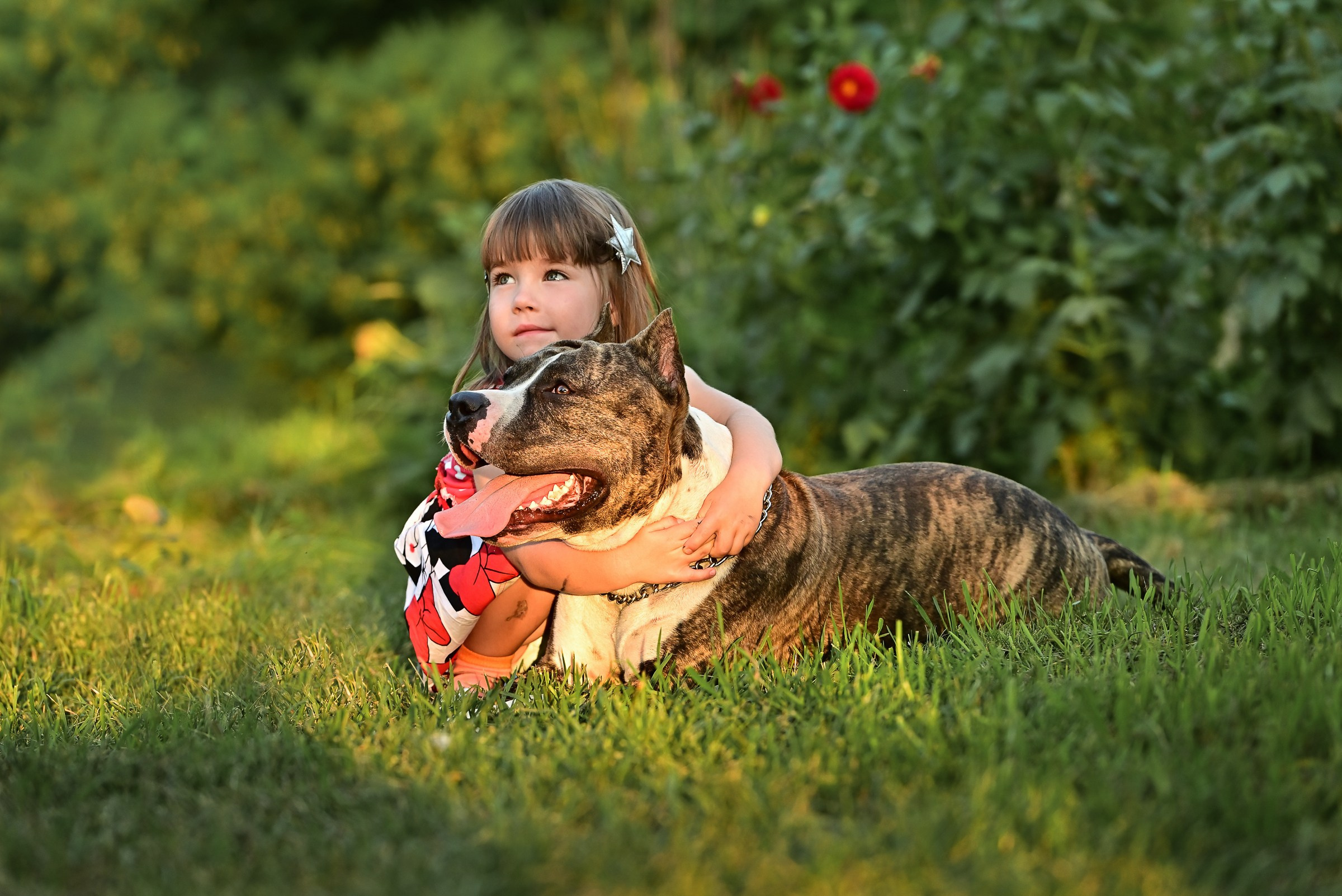 СЯМ’Я. Вясельны і партрэтны фатограф Сяргей Клемянок