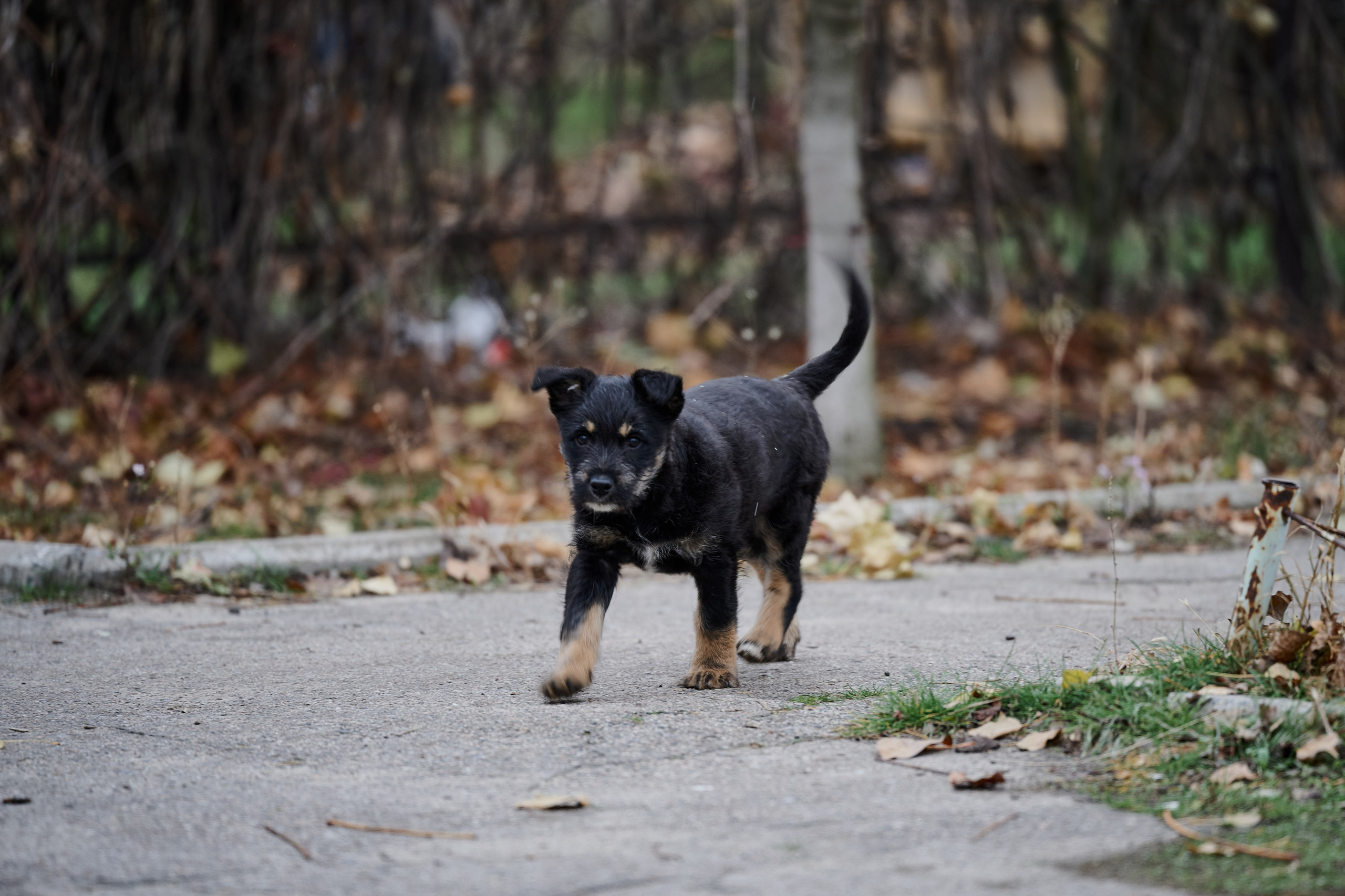 Рубежное. Луганская область. Фотопроект «Территории»