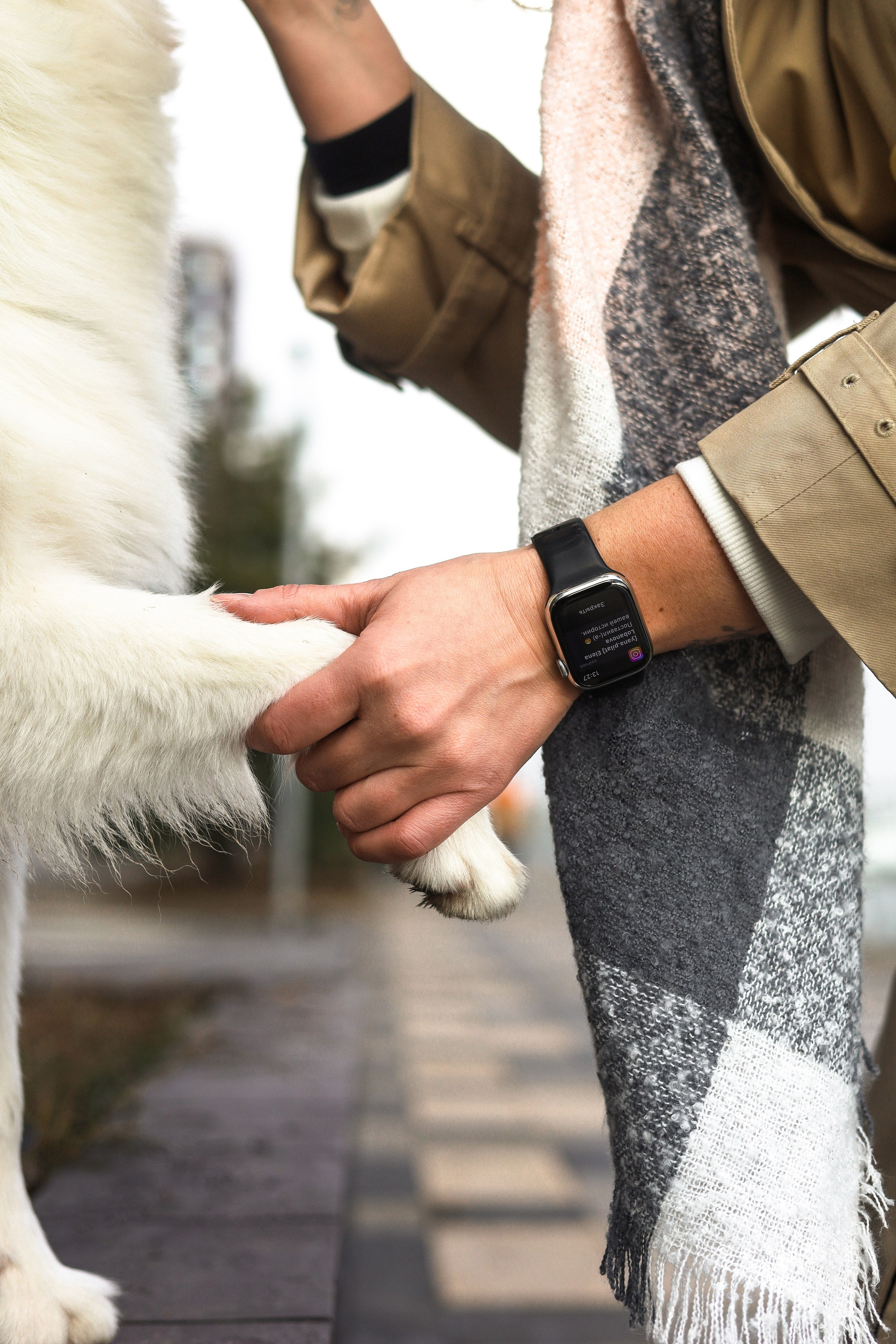 Бри и Яна. Фотограф-анималист Ксения Шевцова|Москва