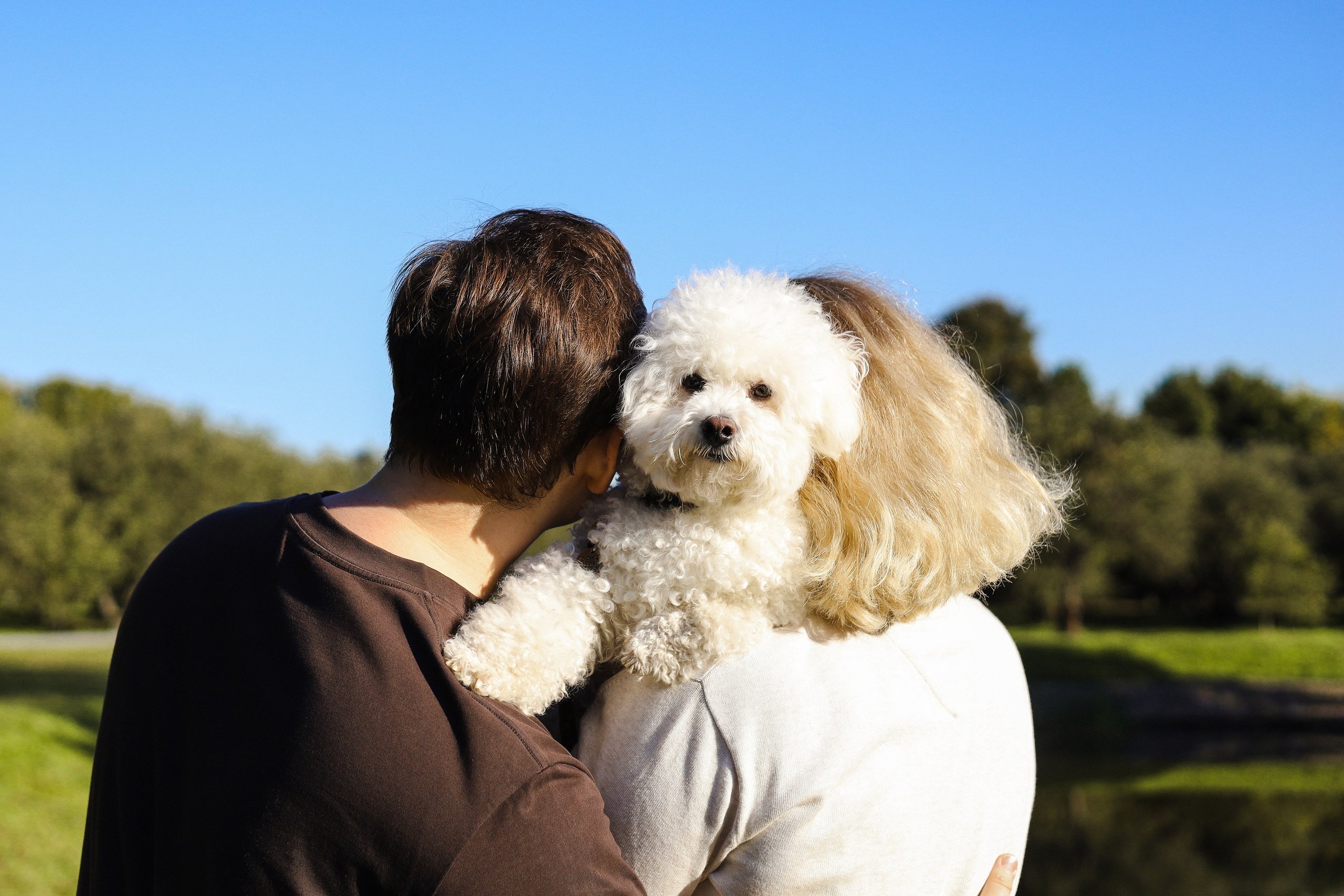 Тимоша, Катя и Вова. Фотограф-анималист Ксения Шевцова|Москва
