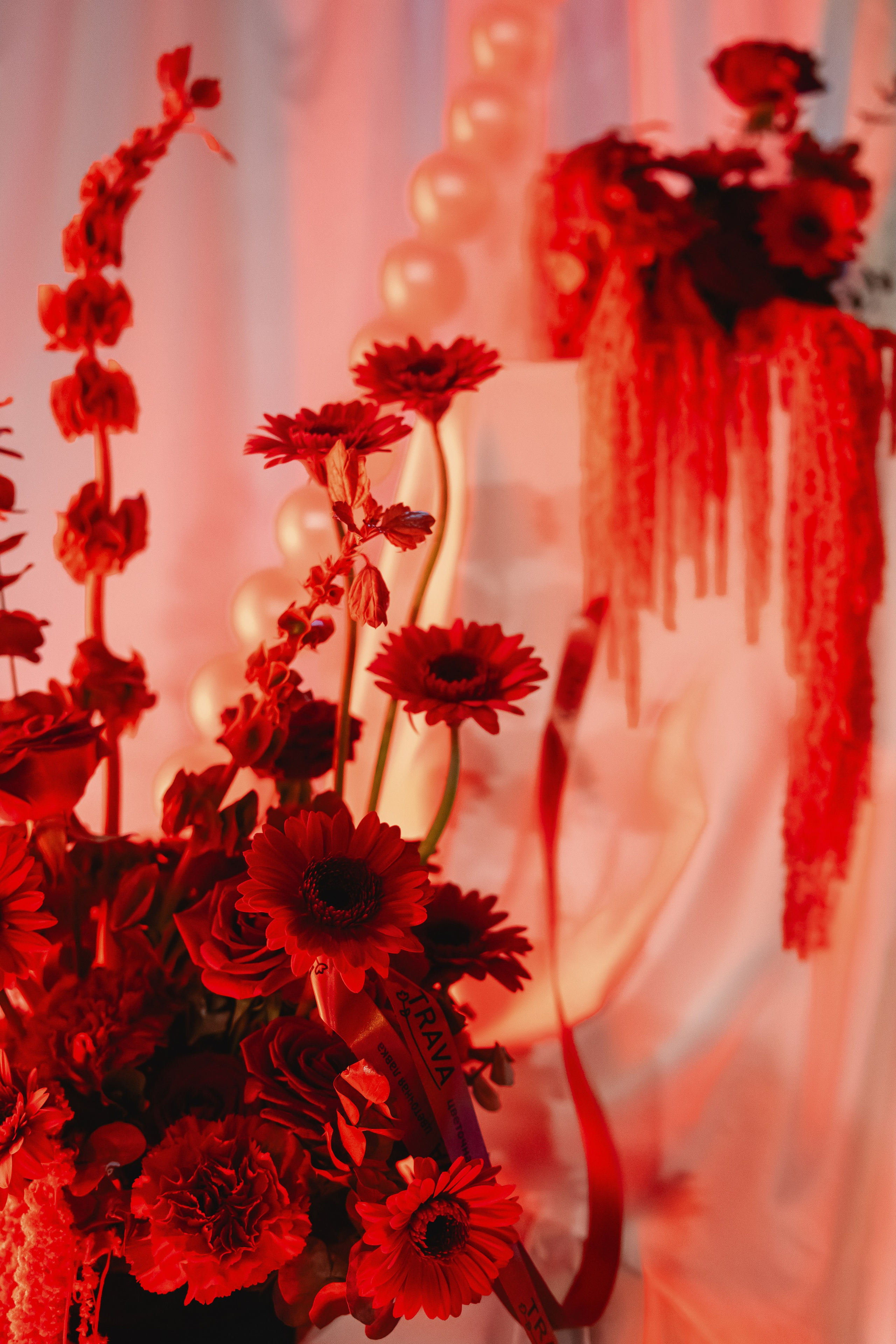 День рождения Barbaresco. Крылова Светлана Фотограф Челябинск